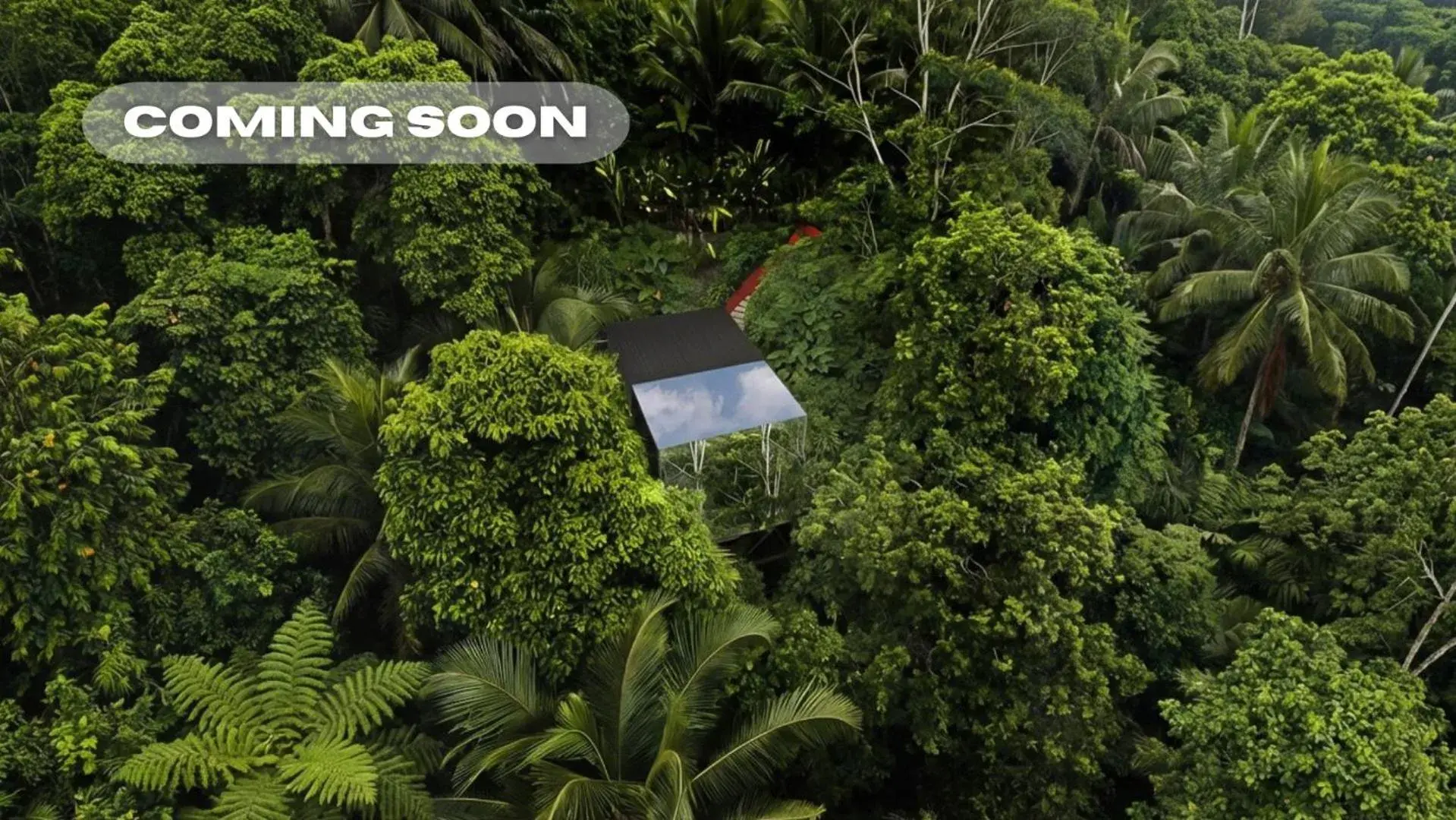 View (from property/room) in K Club Ubud View (from property/room) in K Club Ubud