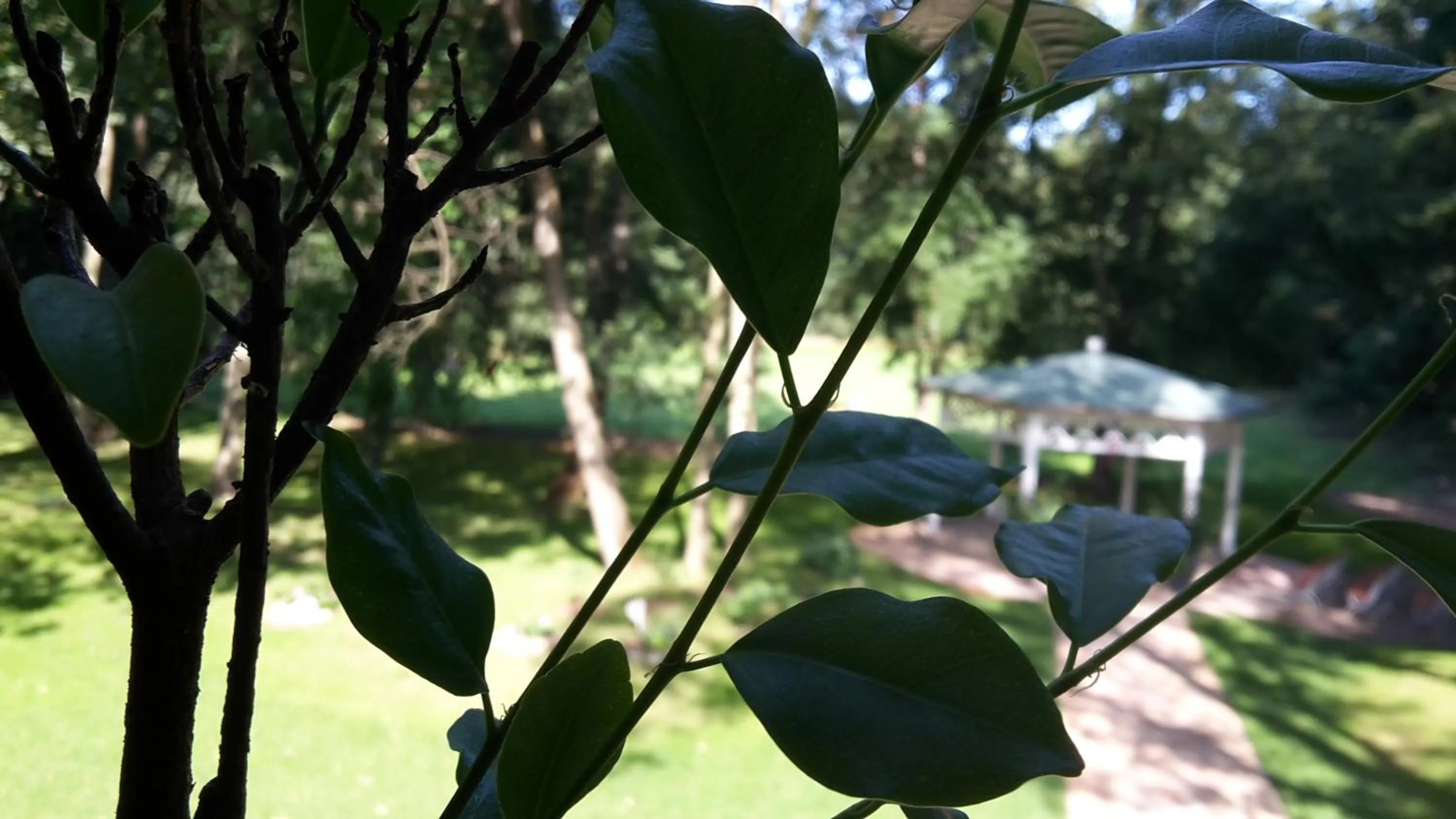 Property building in Hotel Zur Waldhufe