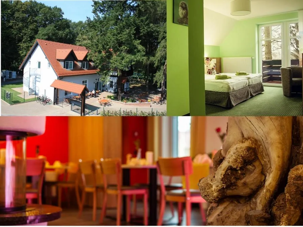 Restaurant/places to eat in Hotel Zur Waldhufe