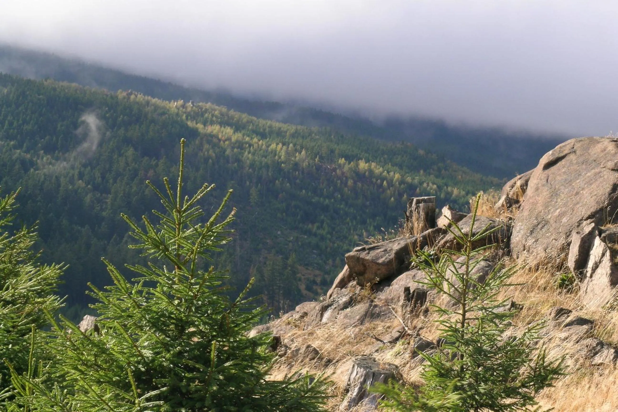 Natural landscape in Landhaus Zu den Rothen Forellen