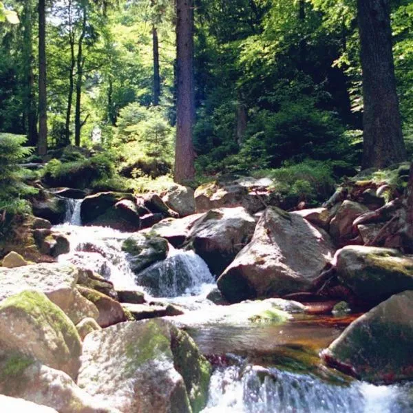 Natural landscape in Landhaus Zu den Rothen Forellen
