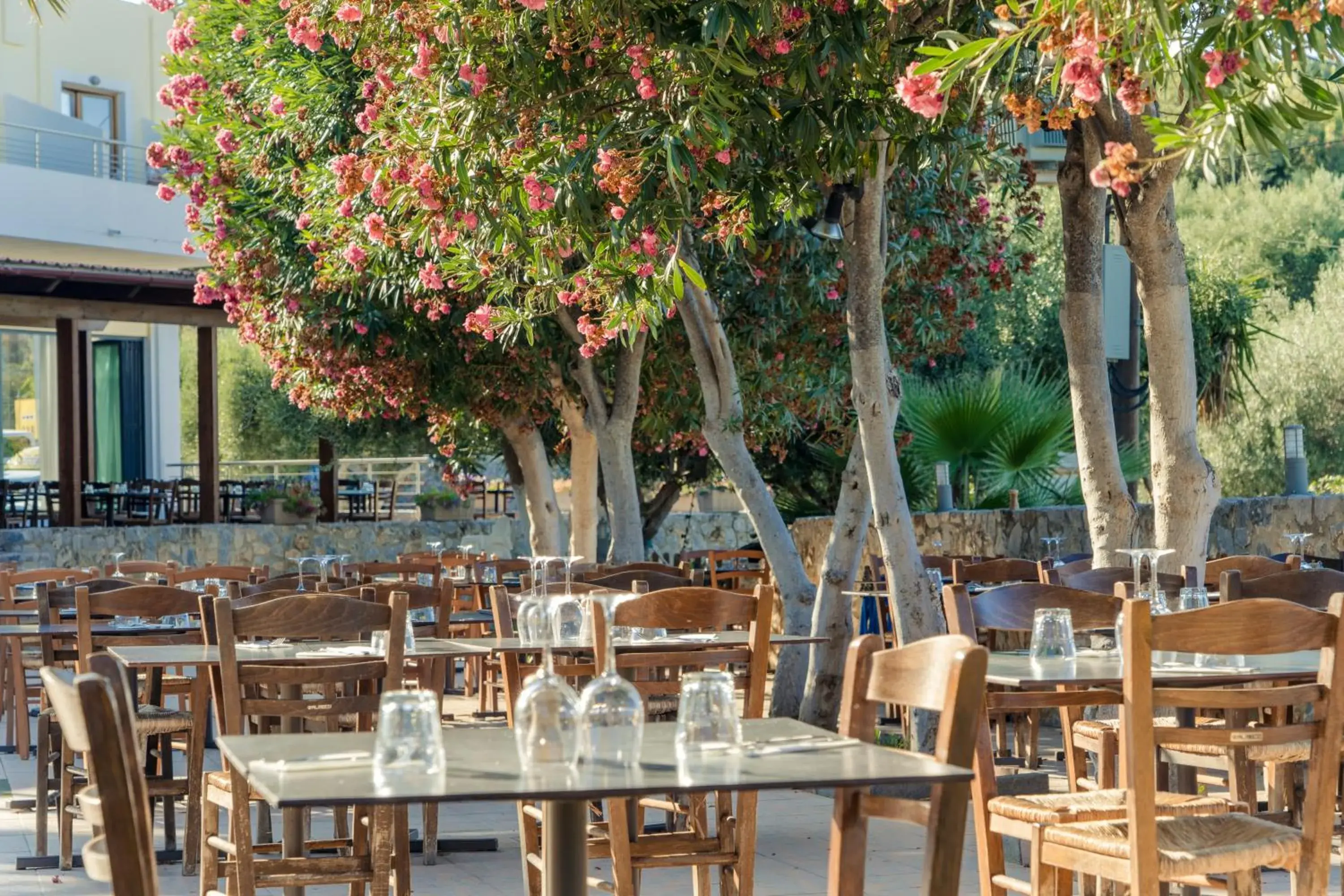 Restaurant/places to eat in Almyrida Village & Waterpark Restaurant/places to eat in Almyrida Village & Waterpark