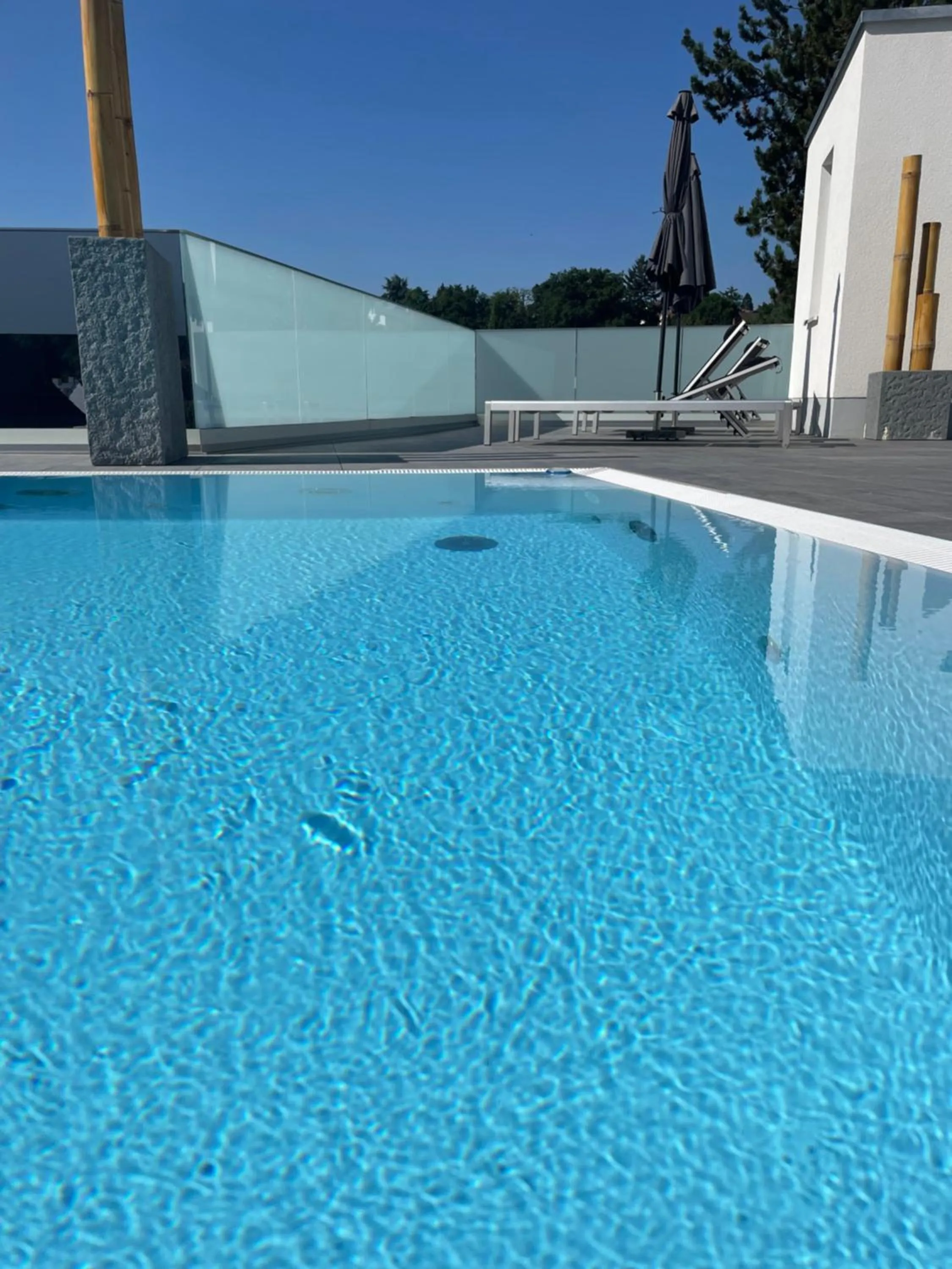 Swimming pool in Wellness- und Gartenhotel Heusser