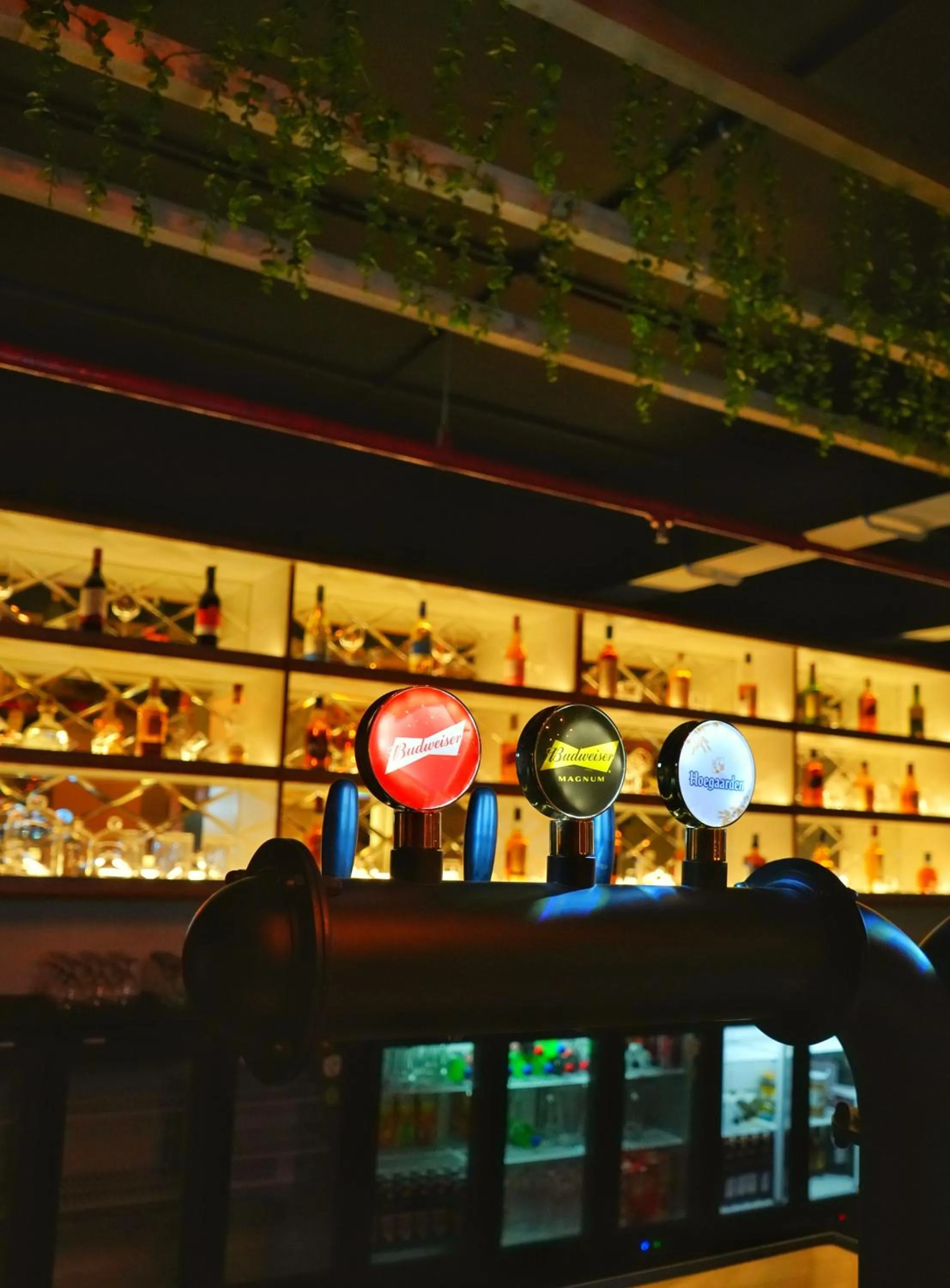 Lounge or bar in The Altruist Hotel Whitefield