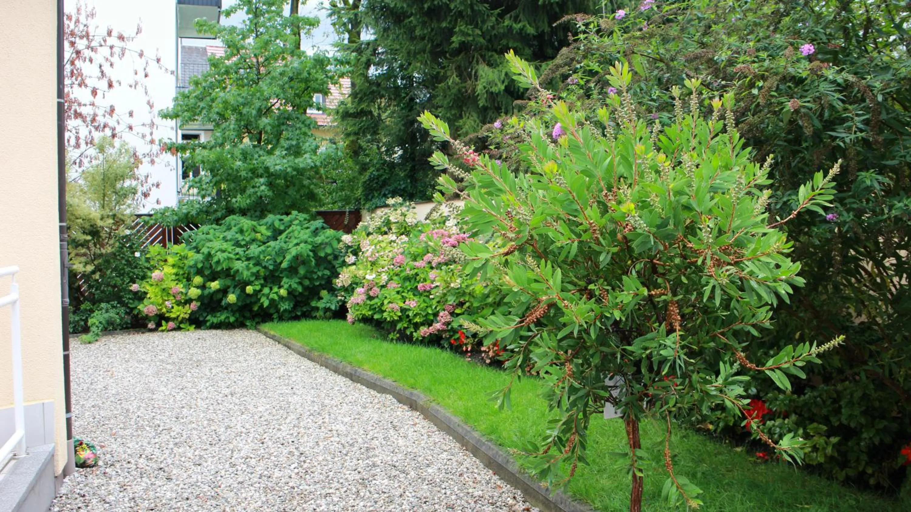Garden in Hotel Josefa