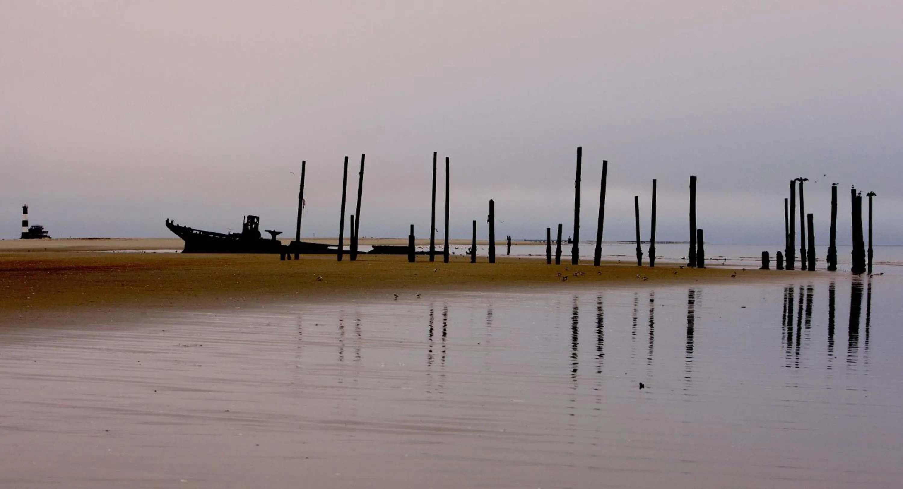 Beach in Pelican Point Lodge