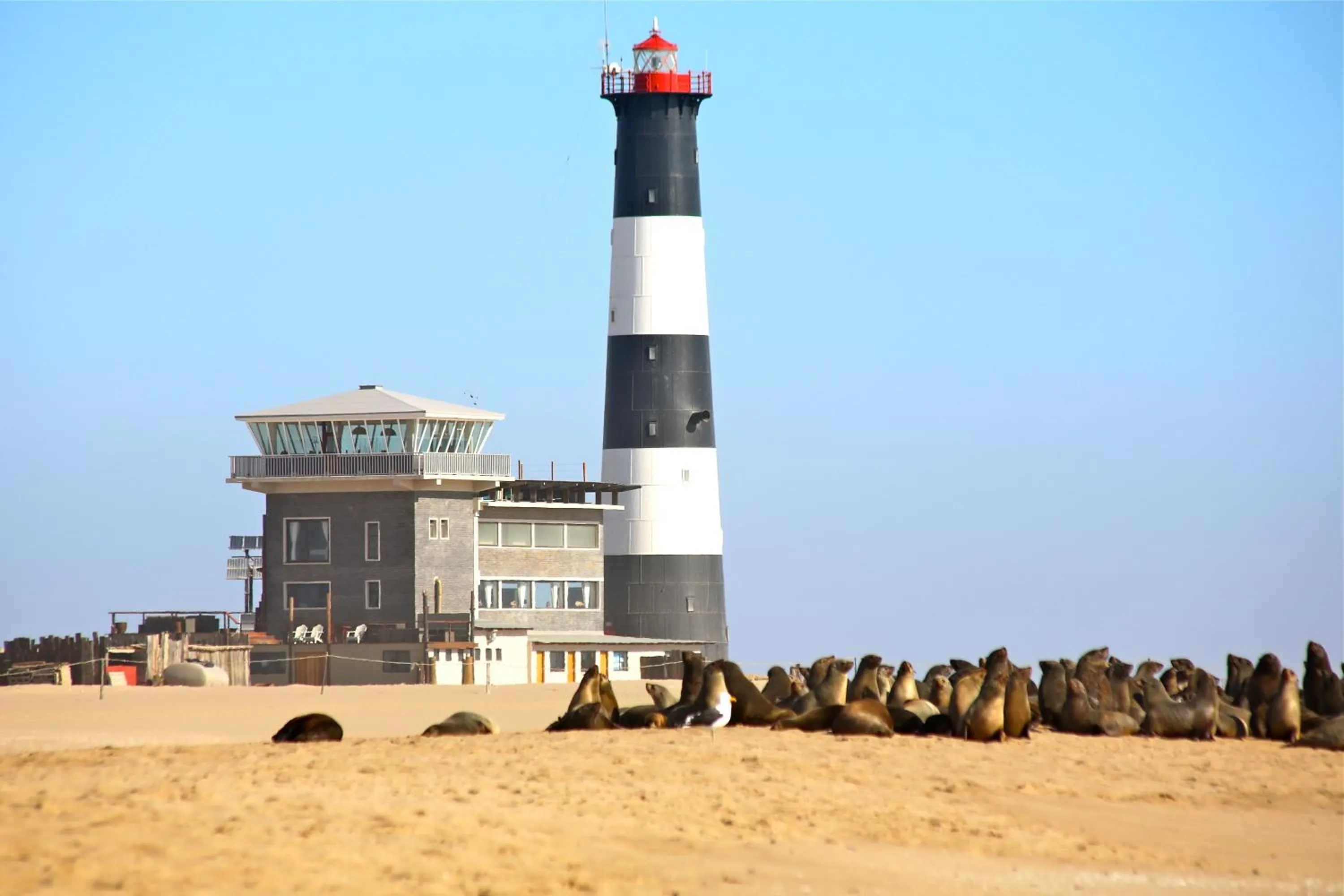 Day in Pelican Point Lodge