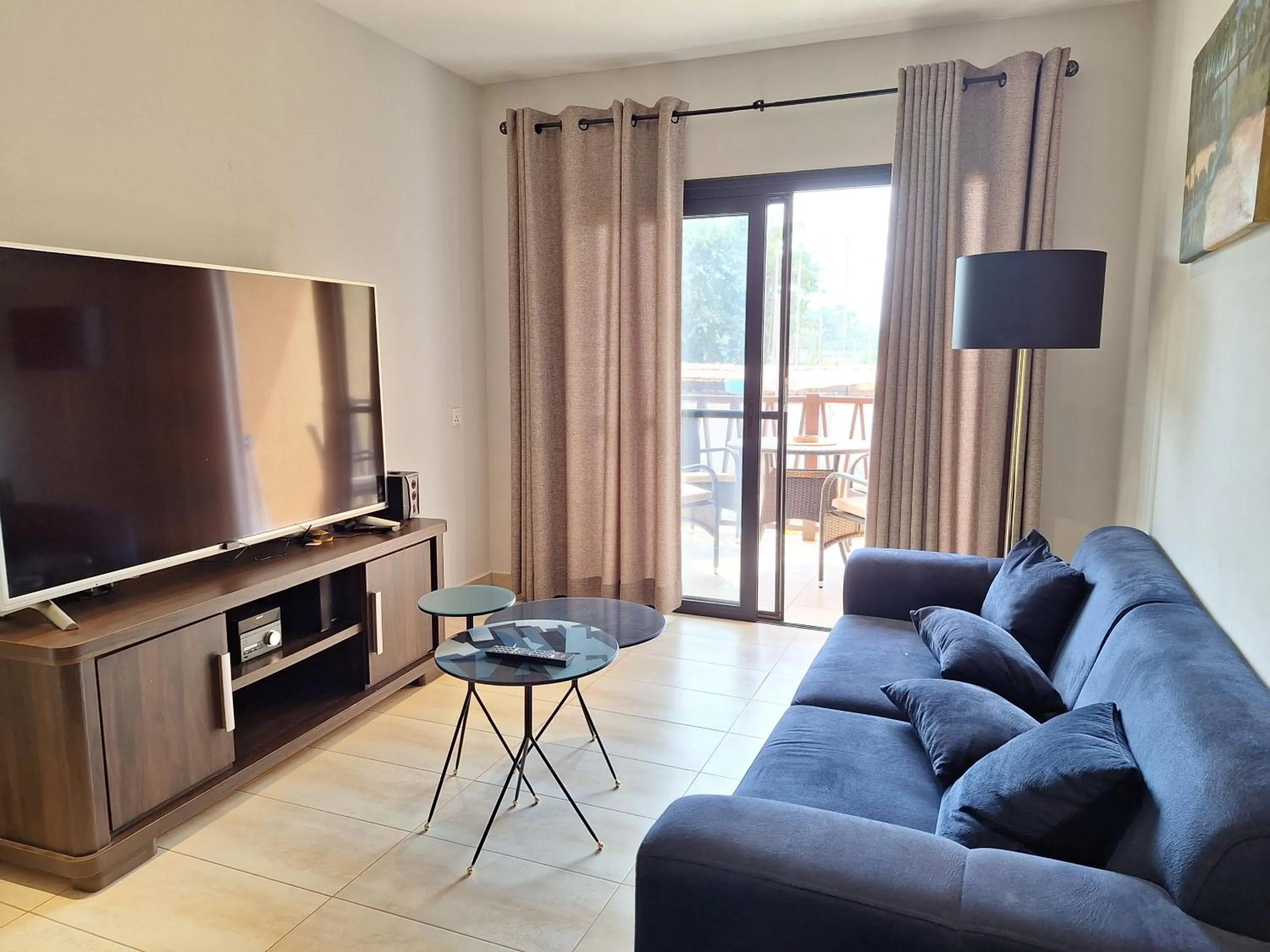 TV and multimedia in Forest View Apartments