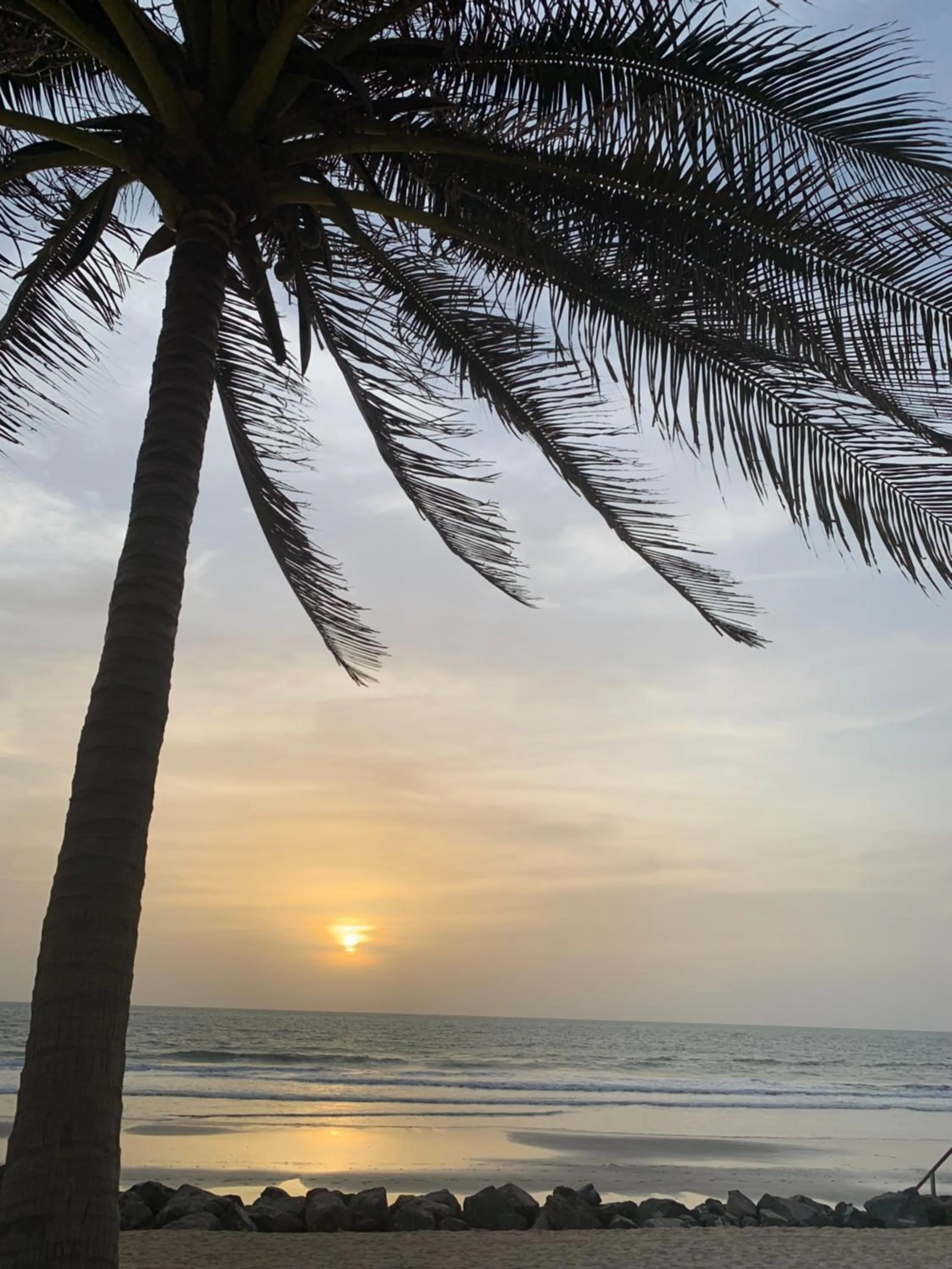 Beach in Forest View Apartments