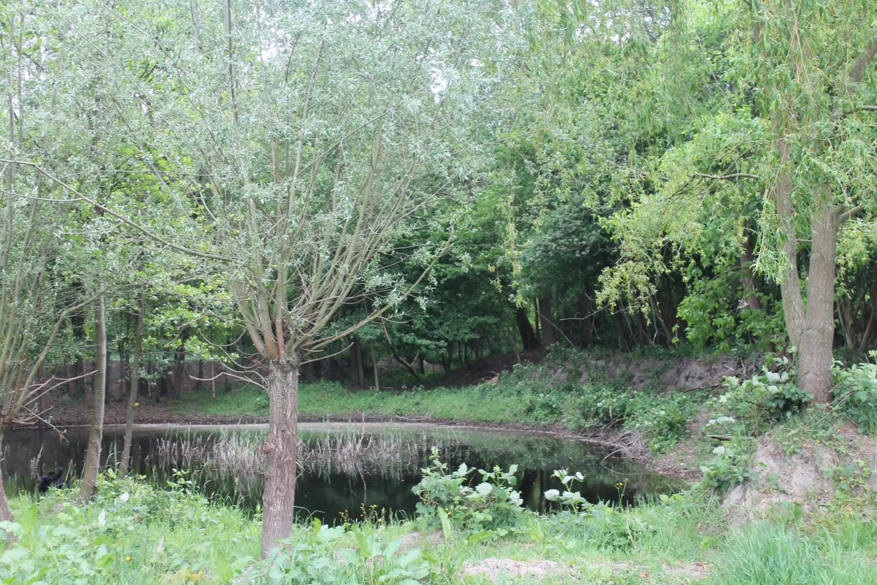 Gastenverblijf Peppelmate