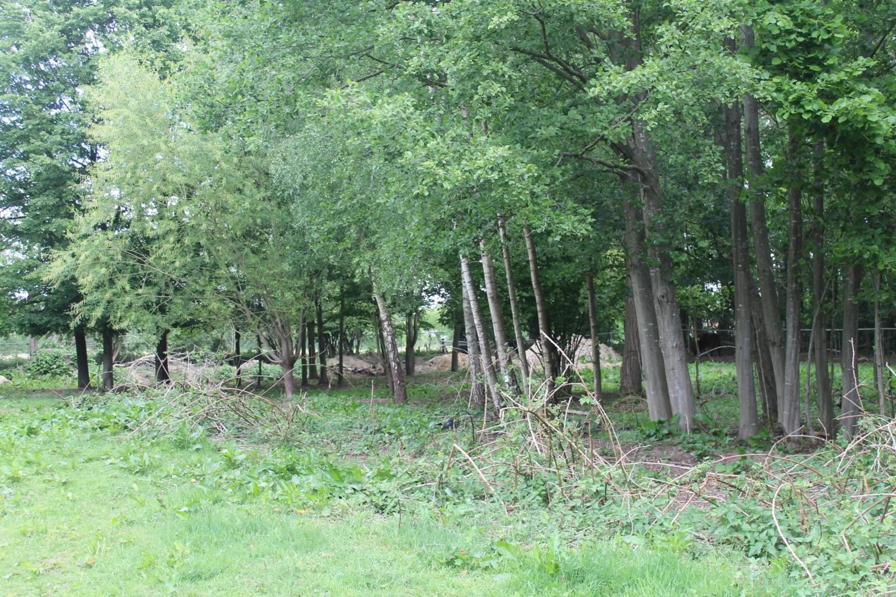 Gastenverblijf Peppelmate