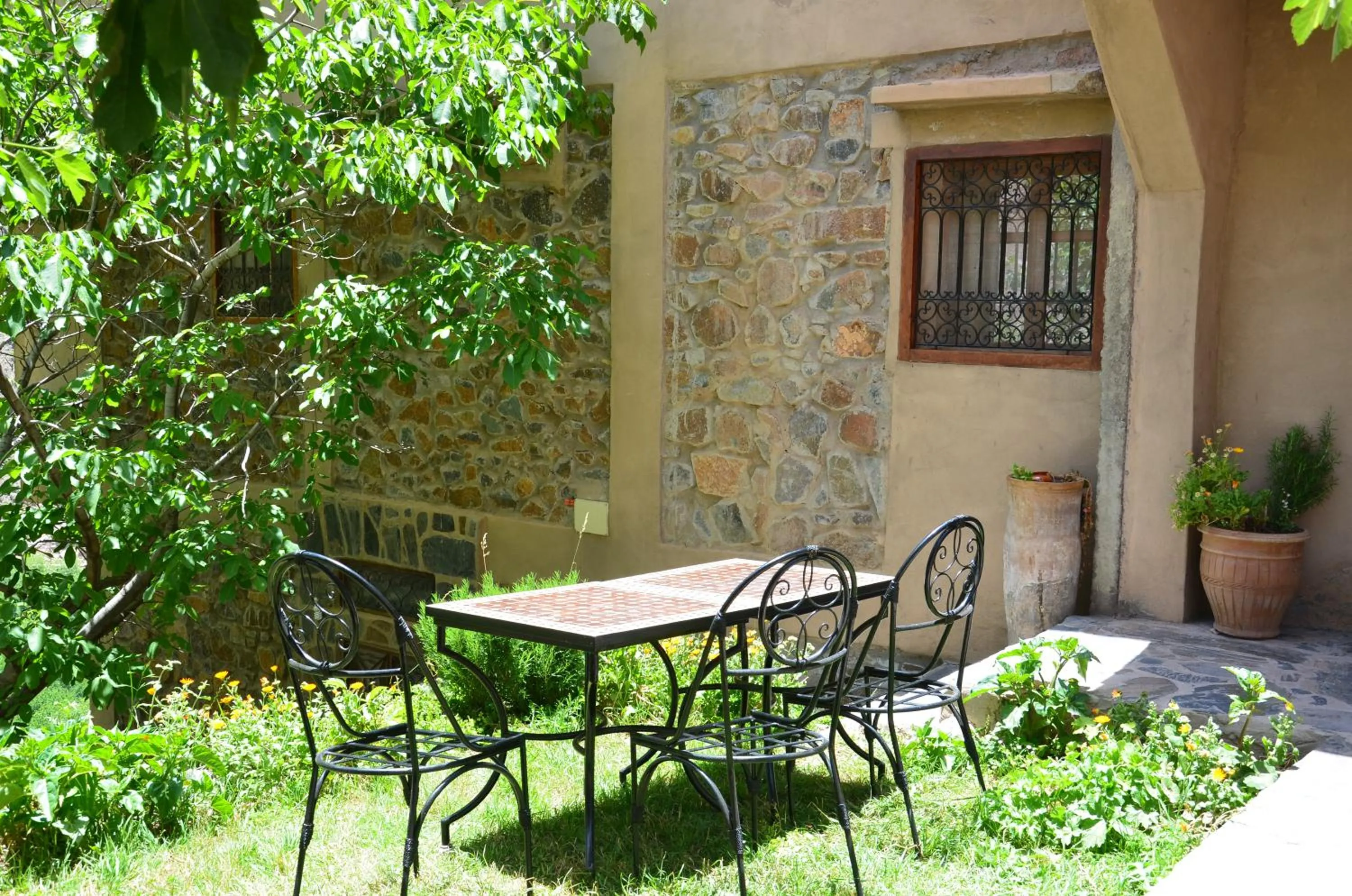 Activities in RiadAtlasChateau