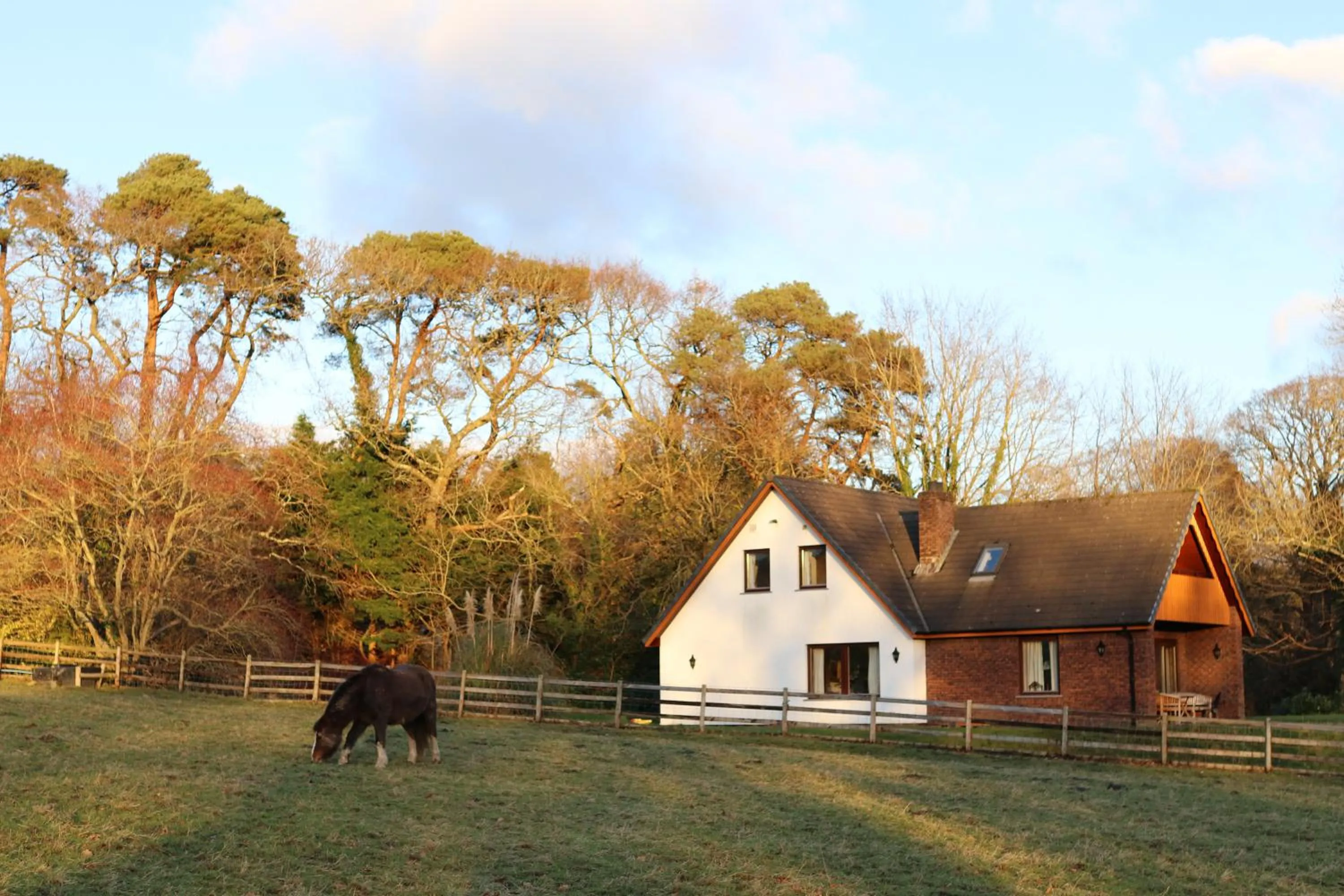 Plas Dolau Country Estate