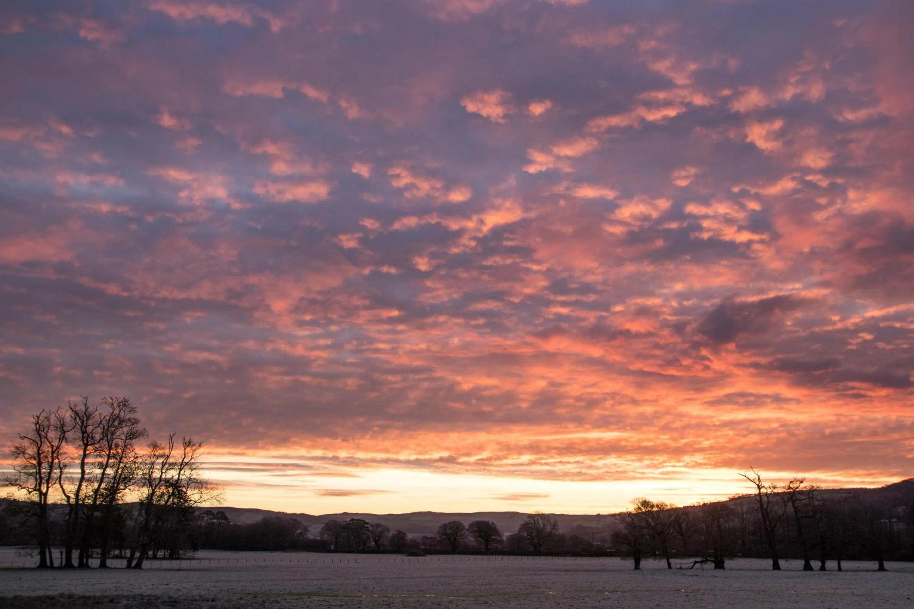 Natural landscape in Plas Dolau Country Estate