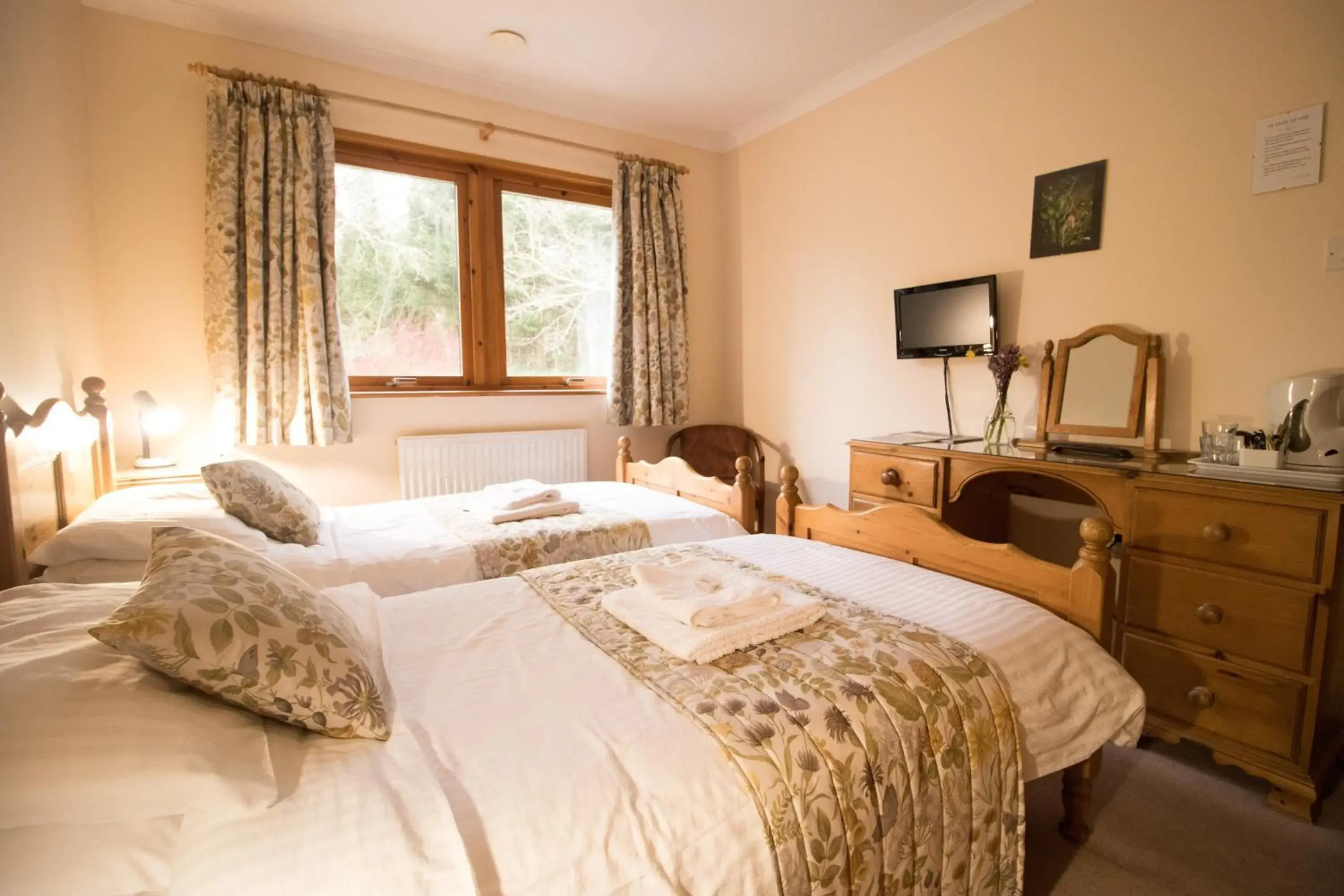 Twin Room in Plas Dolau Country Estate Twin Room in Plas Dolau Country Estate