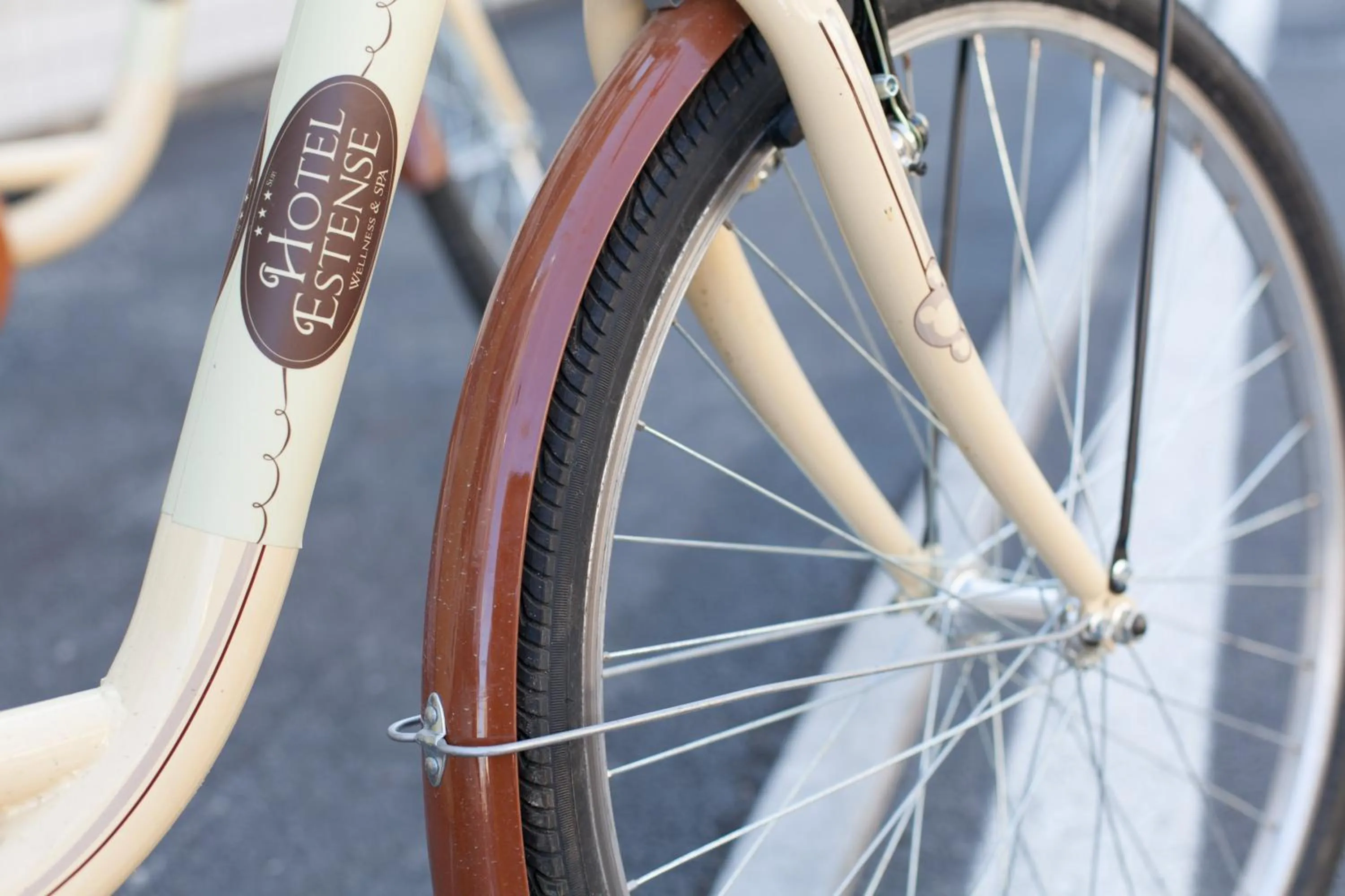 Cycling in Hotel Estense