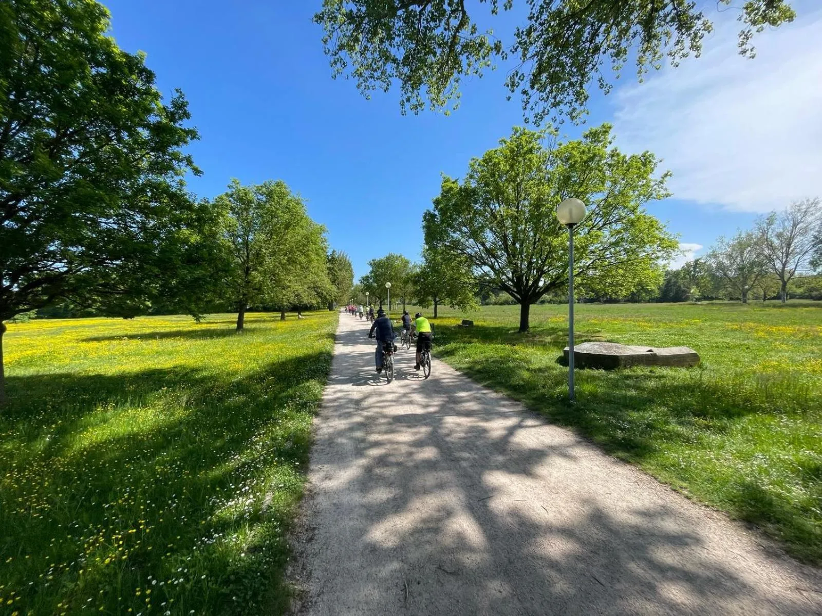 Cycling in Hotel Estense