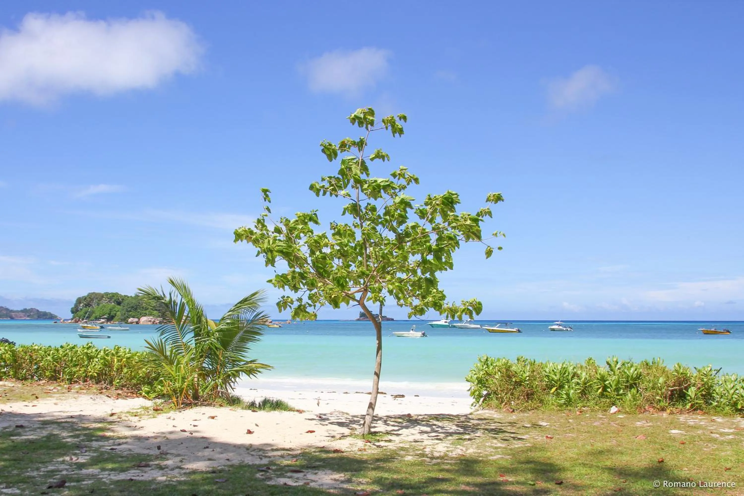 Snorkeling in Pirogue Lodge