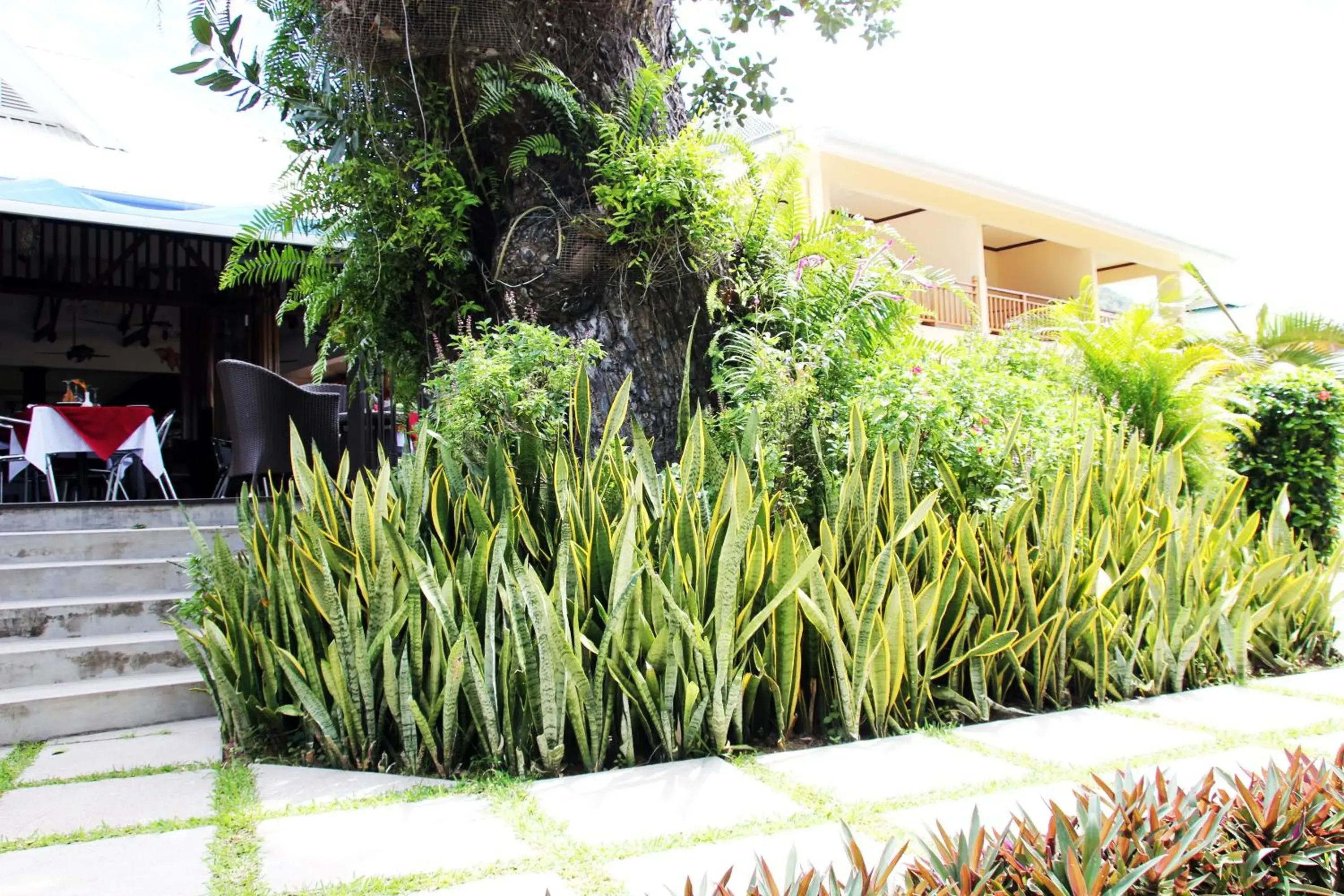 Facade/entrance in Pirogue Lodge Facade/entrance in Pirogue Lodge