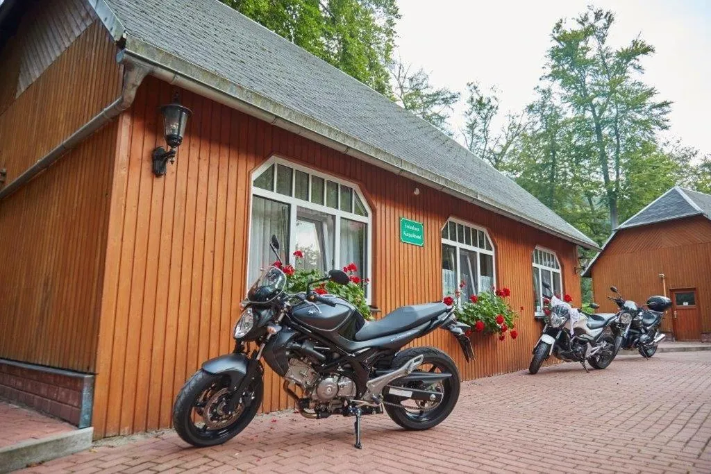 Day in Kurpark Flair Hotel Im Ilsetal