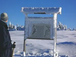 Other in Kurpark Flair Hotel Im Ilsetal