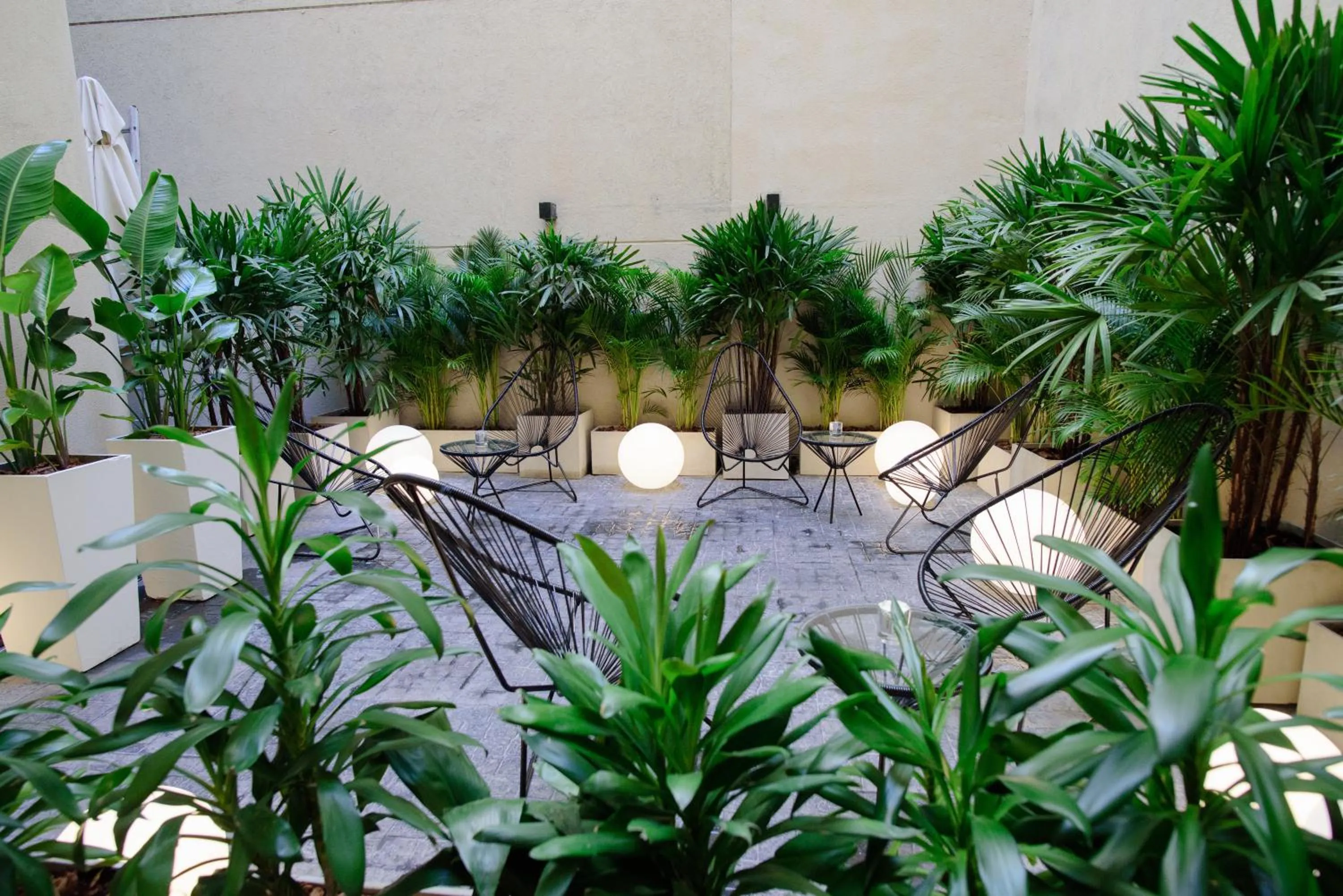 Garden in M Concept Hotel