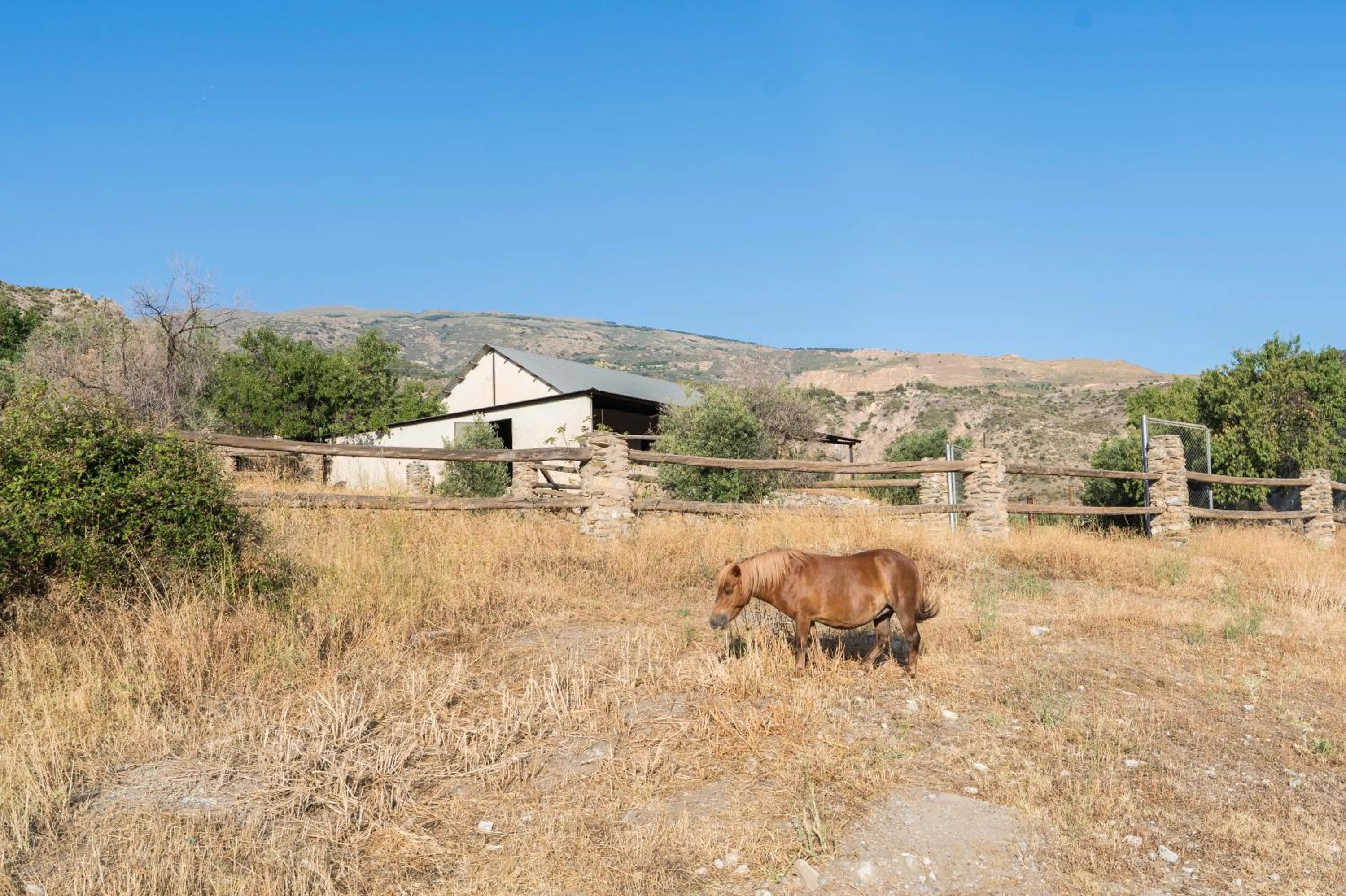 Garden in Hotel Rural Alqueria de los lentos