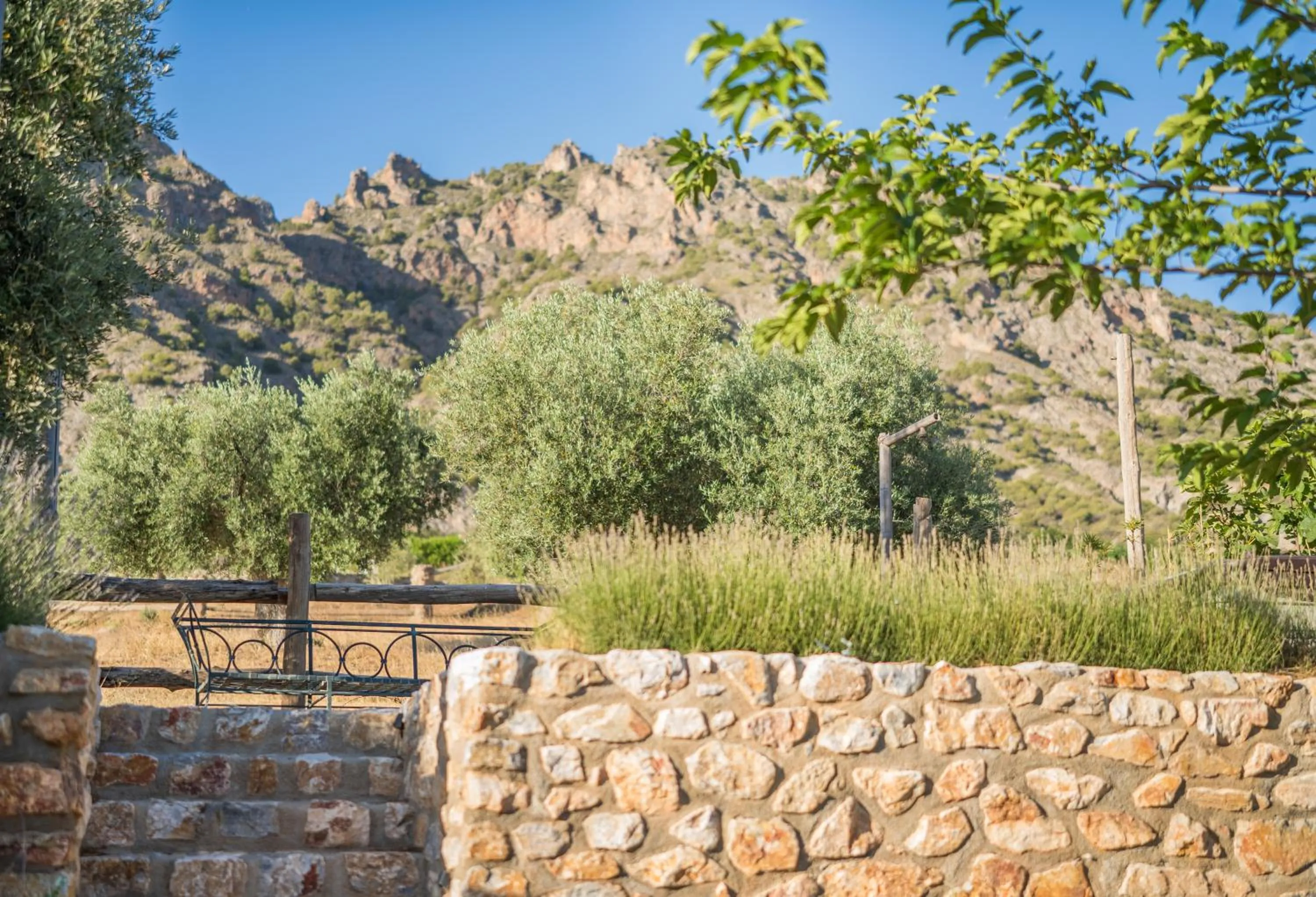 Garden in Hotel Rural Alqueria de los lentos