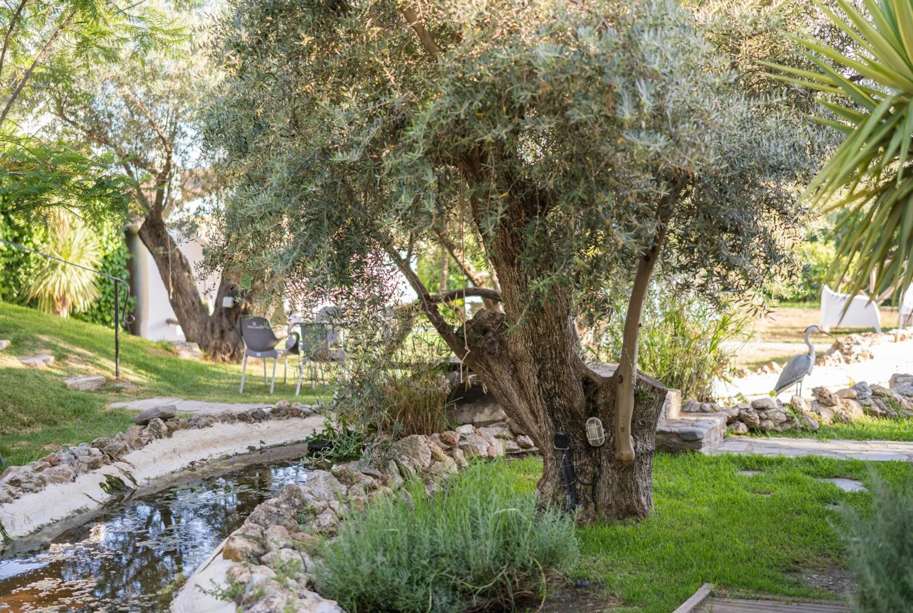 Garden in Hotel Rural Alqueria de los lentos