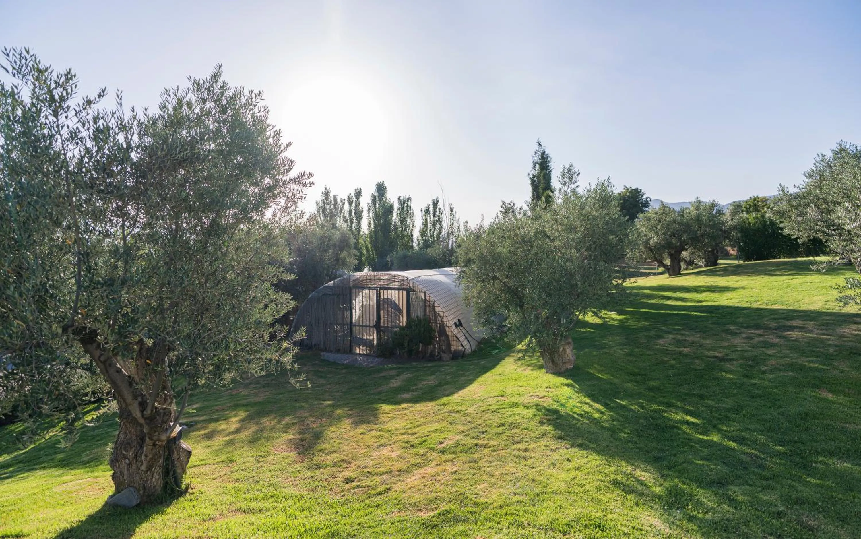 Garden in Hotel Rural Alqueria de los lentos