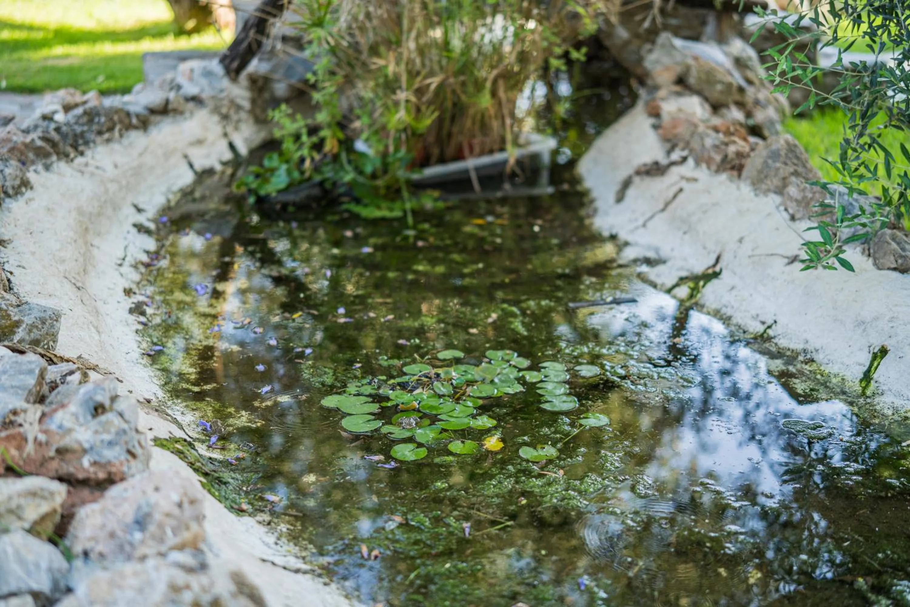 Garden in Hotel Rural Alqueria de los lentos