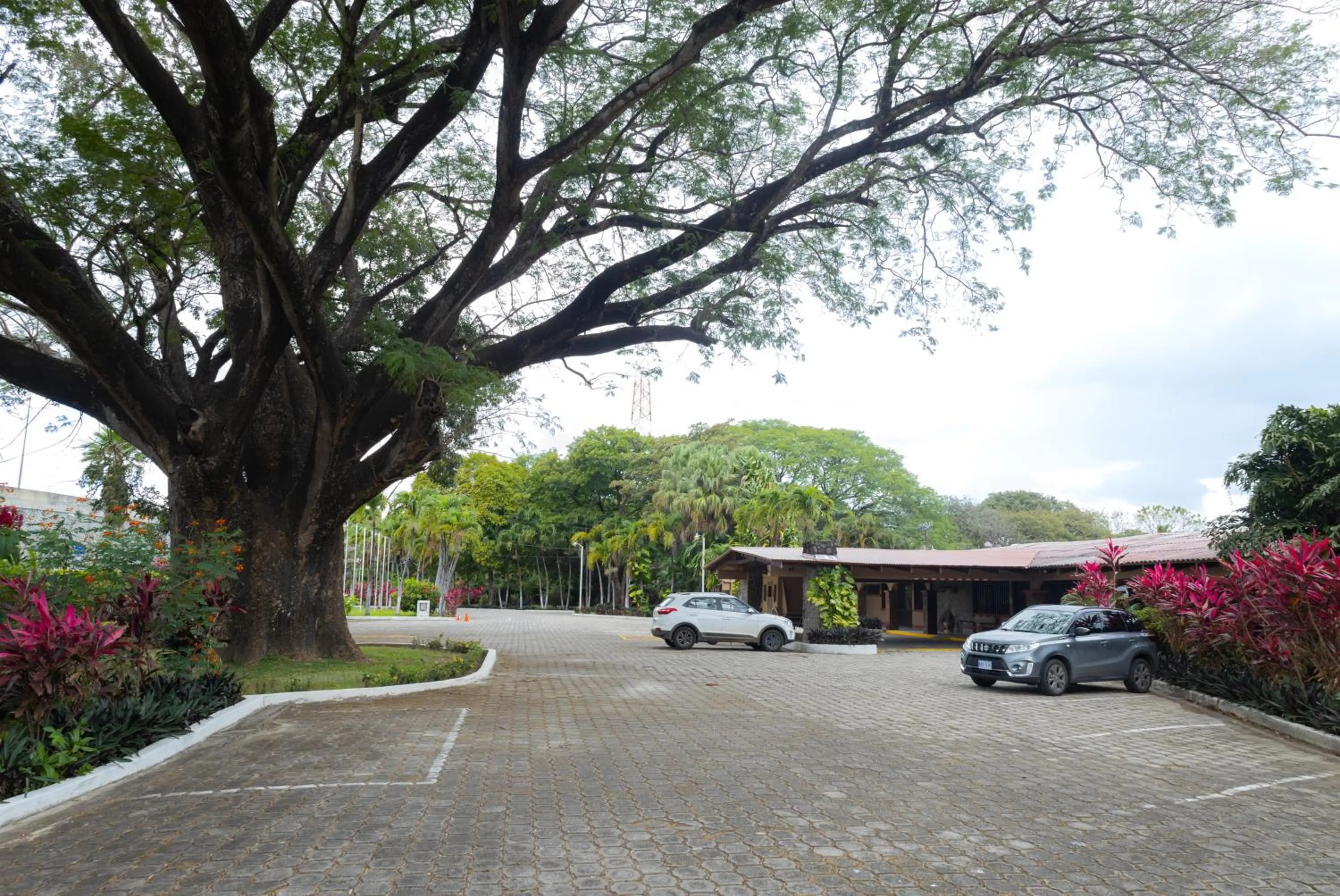 Natural landscape in Hotel Las Espuelas, Bar & Restaurant