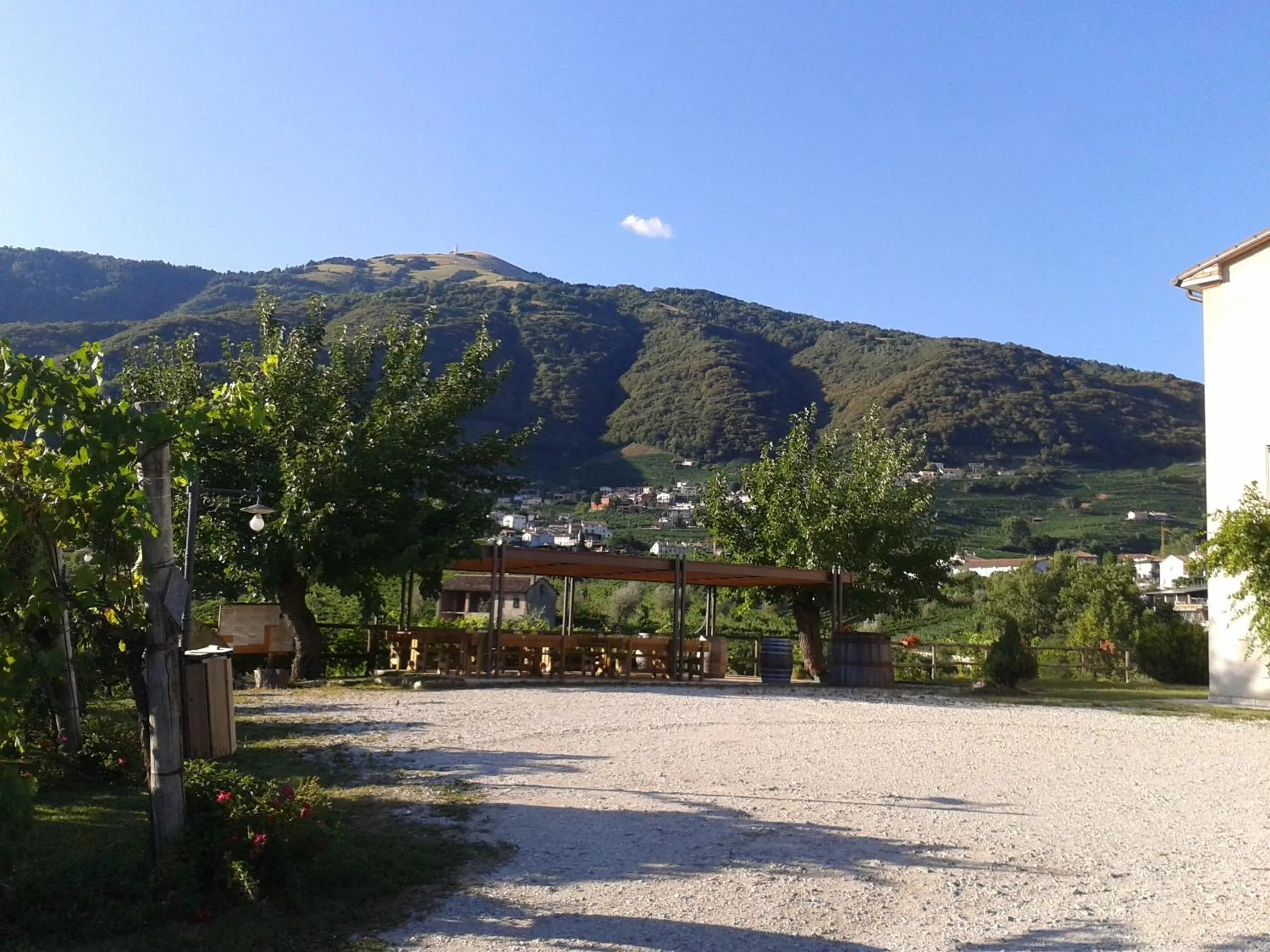 Garden in La Casa Vecchia