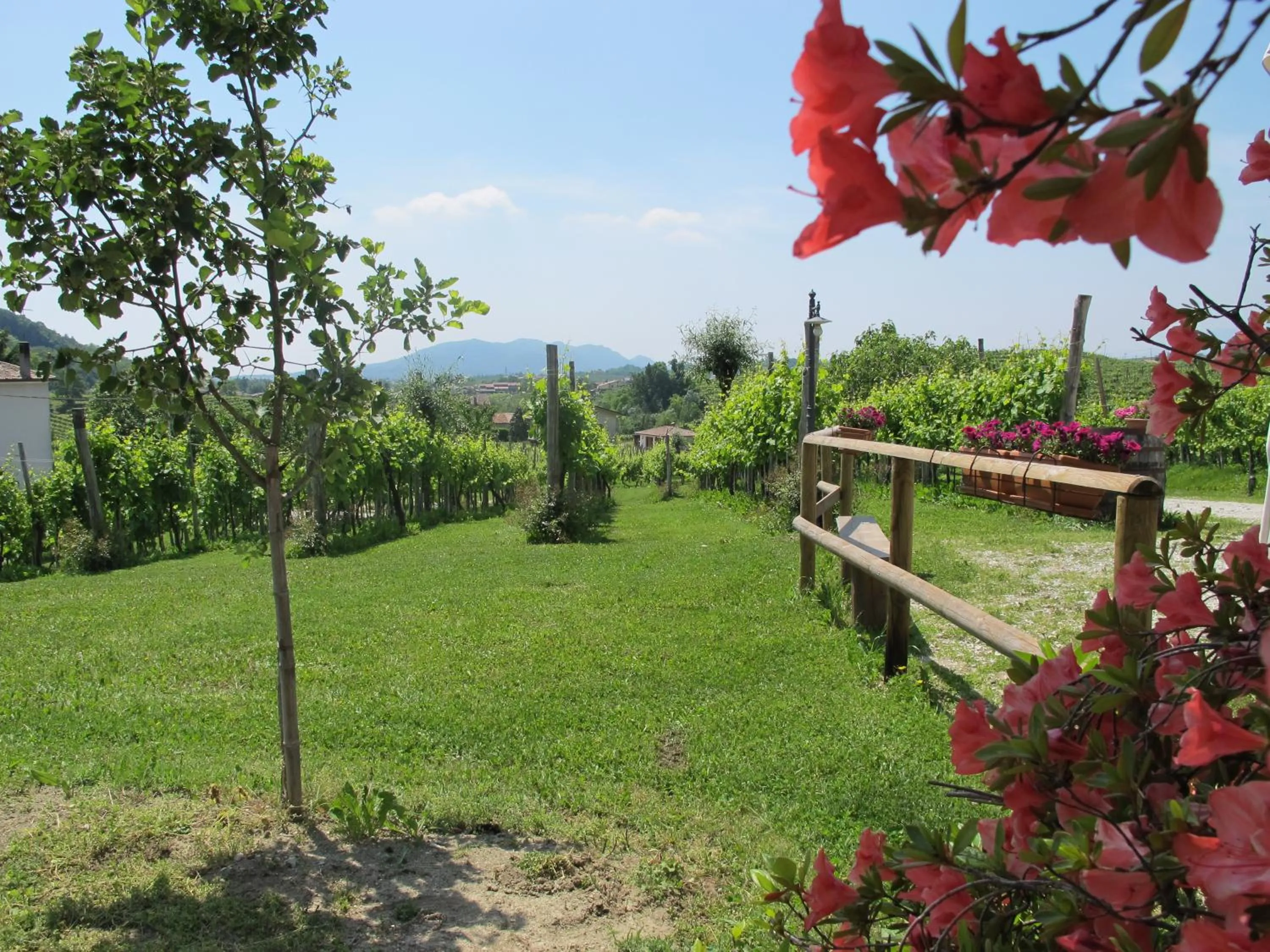 Garden in La Casa Vecchia