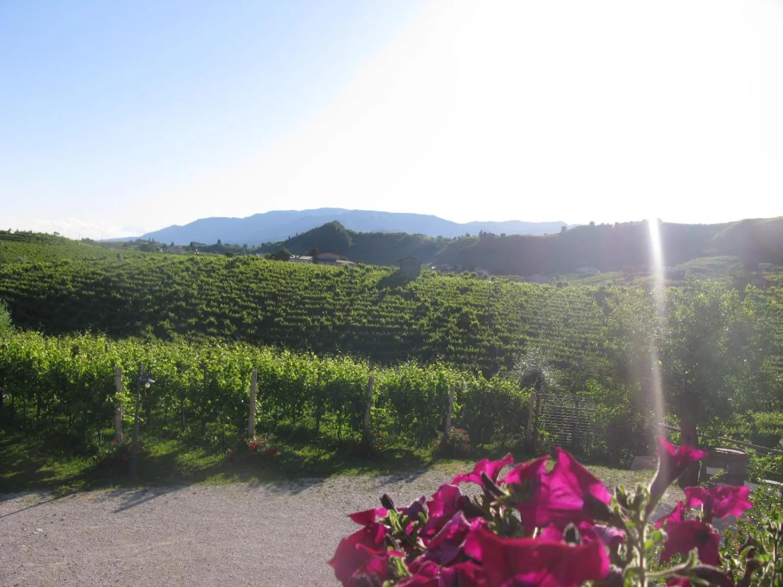 Garden view in La Casa Vecchia
