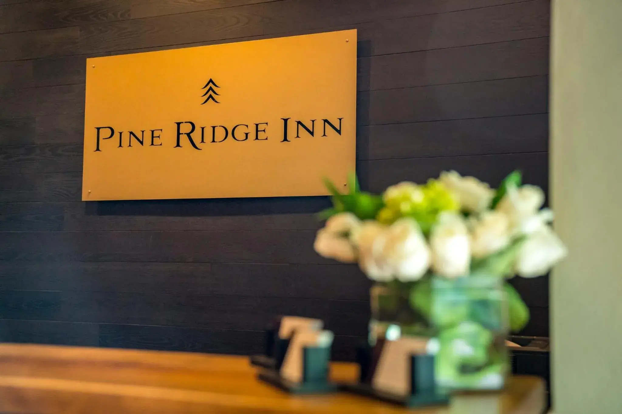 Lobby or reception in Pine Ridge Inn Lobby or reception in Pine Ridge Inn