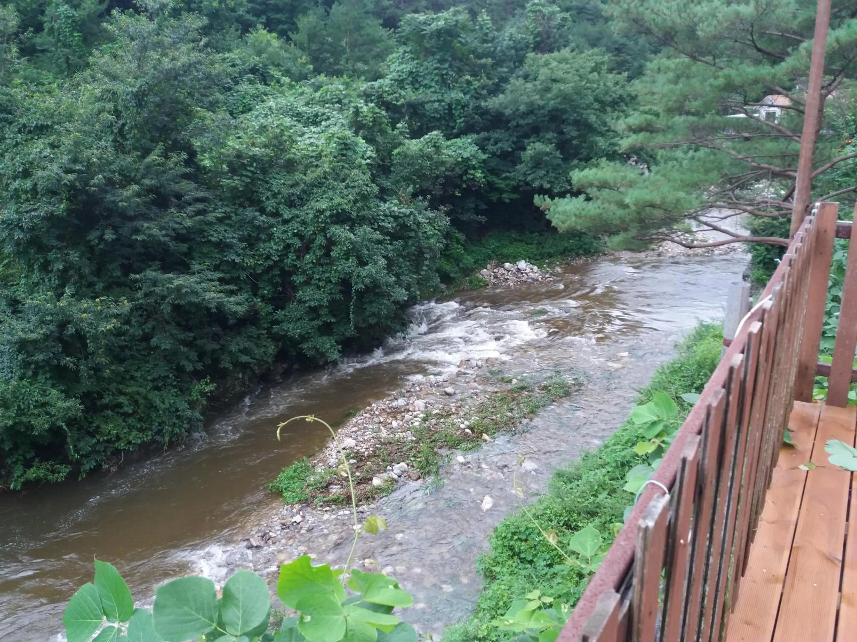 Natural landscape in Dasanbang Pension