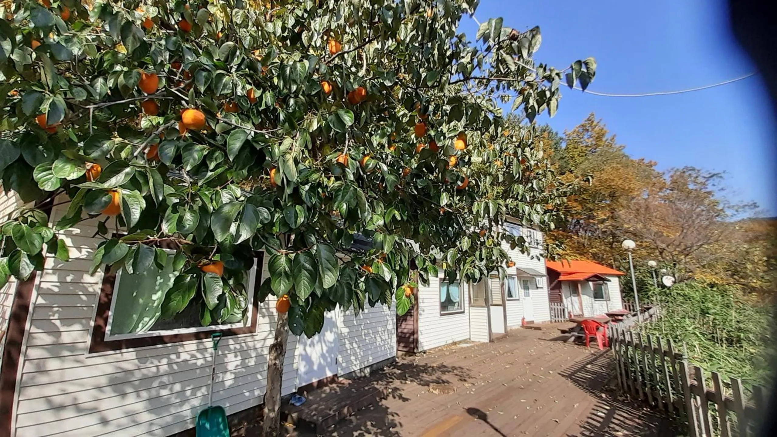 Property building in Dasanbang Pension