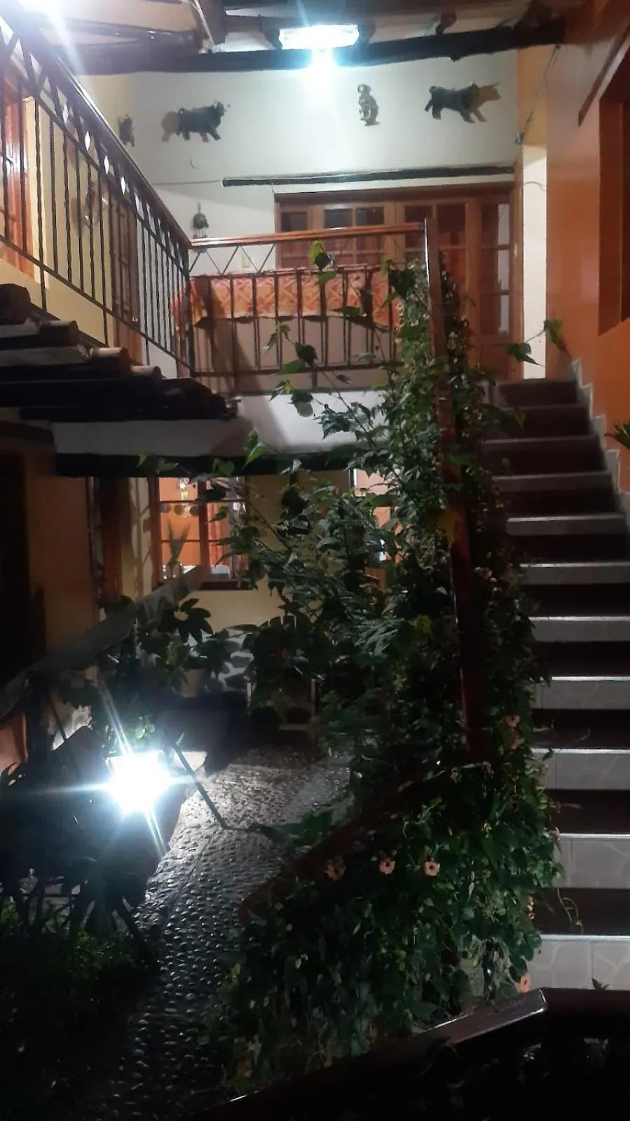 Wayras Hostal