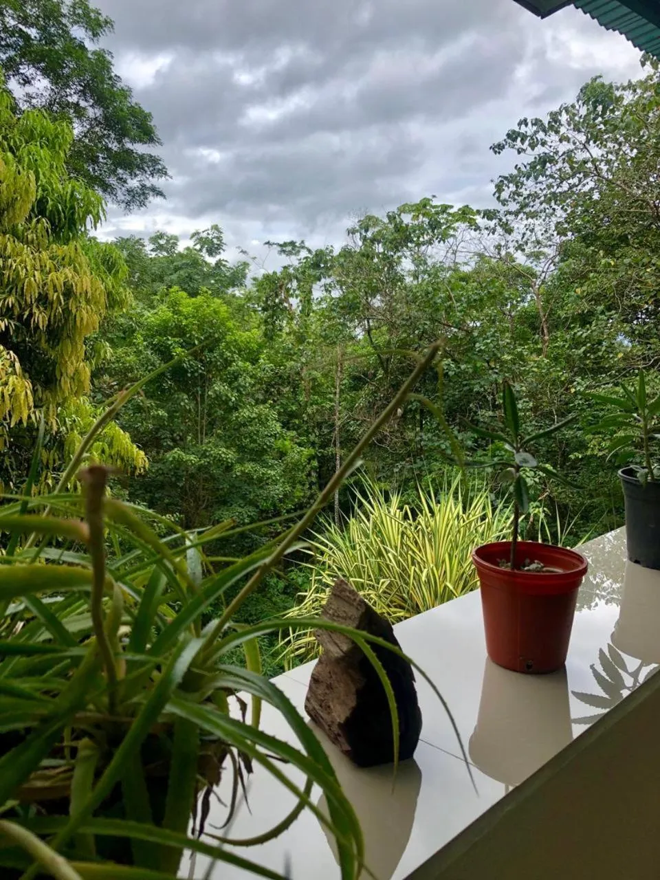 Hotel San Rafael Ecolodge