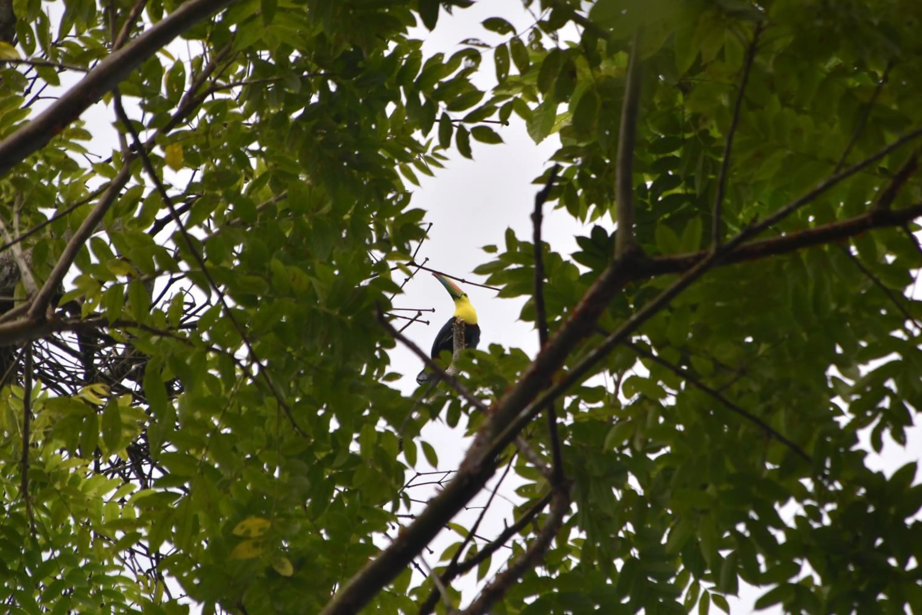 Natural landscape in Hotel San Rafael Ecolodge