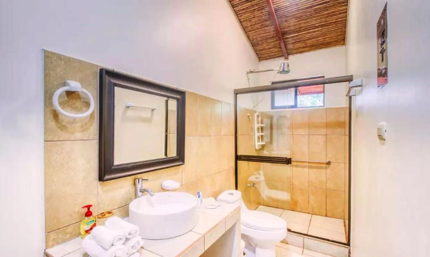 Toilet in Hotel San Rafael Ecolodge