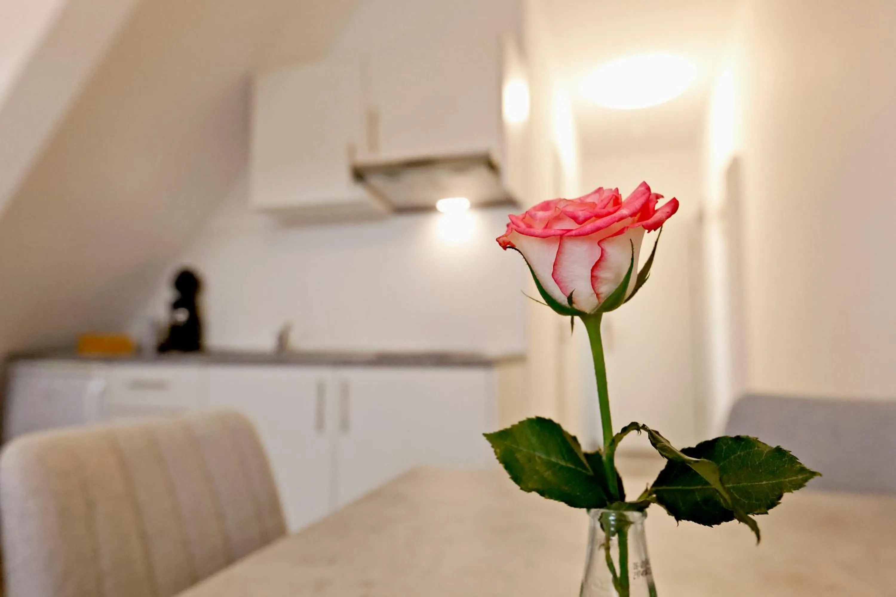 Living room in Vinotel Weinstrasse