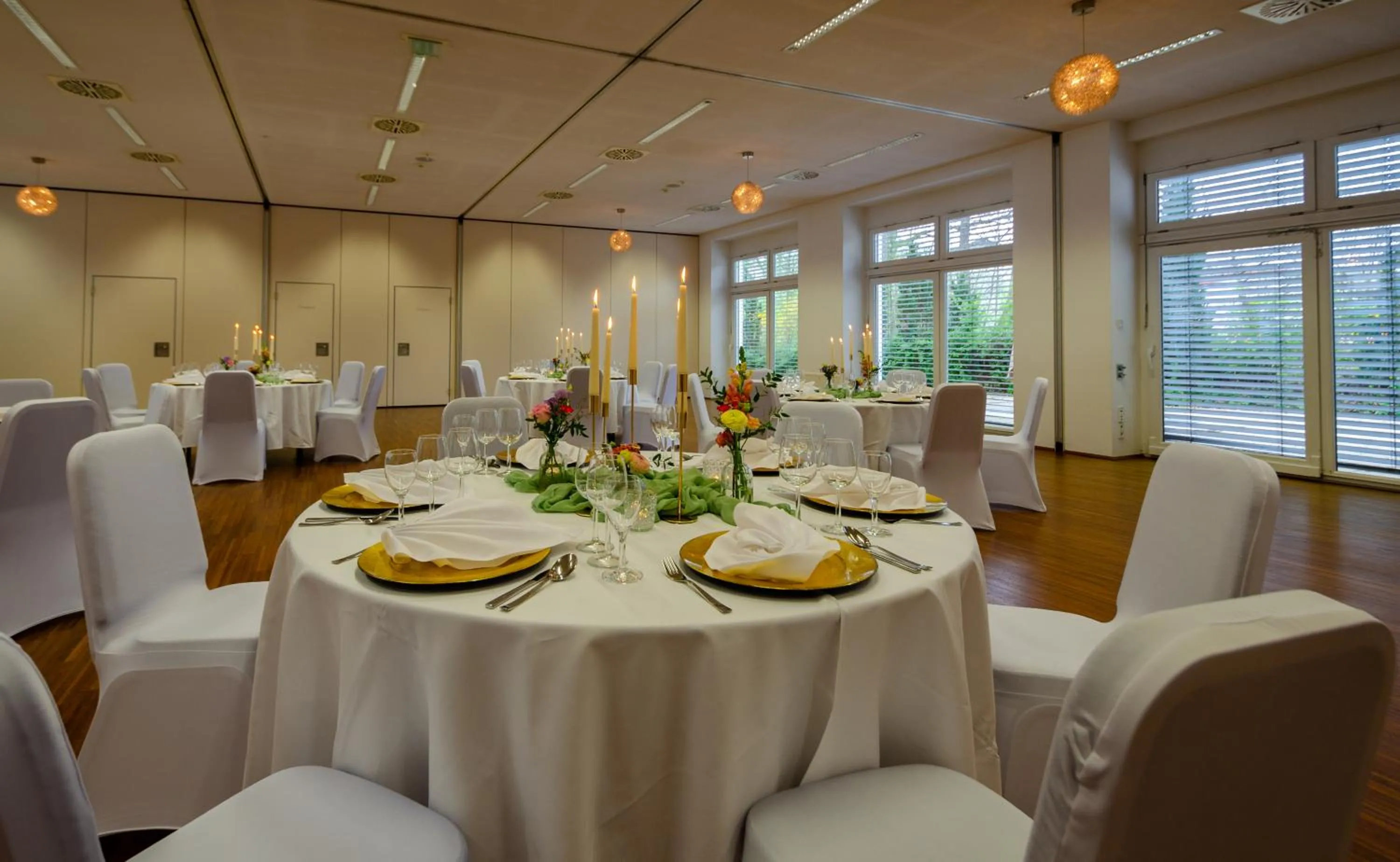 Banquet/Function facilities in Albhotel Fortuna