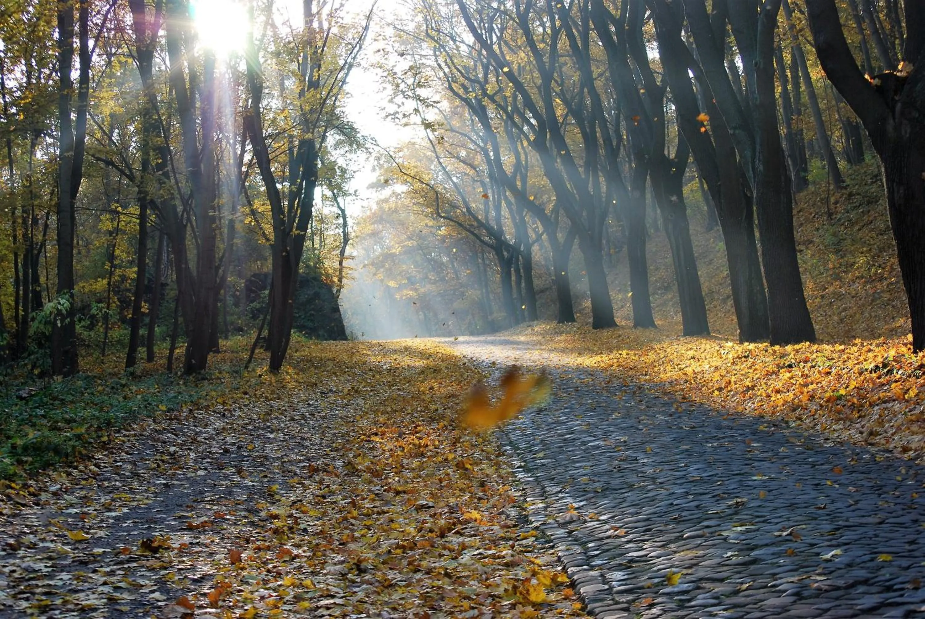 Sports in Hotel Abtshof