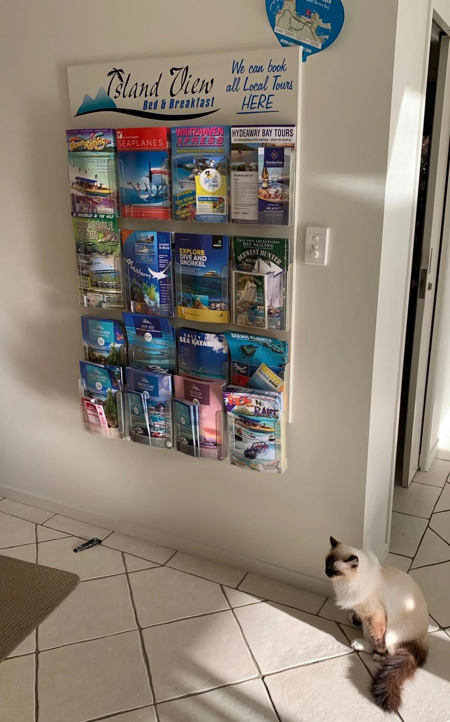 Text overlay in Island Views