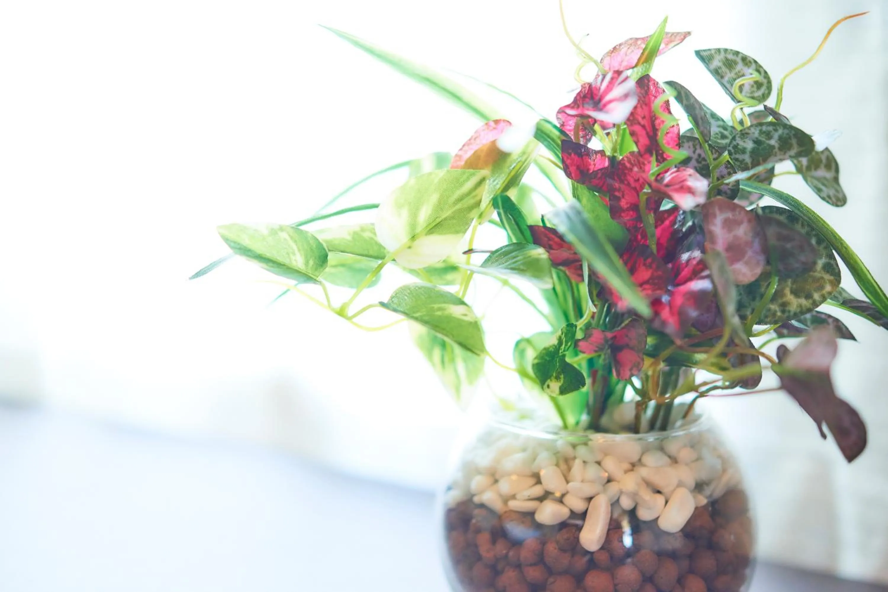 Photo of the whole room in S'CASA NishiShinjuku