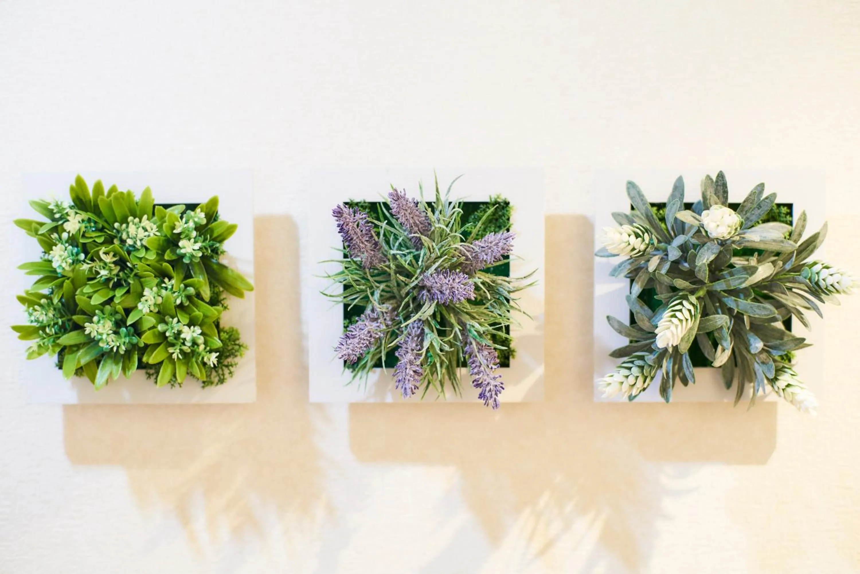 Photo of the whole room in S'CASA NishiShinjuku