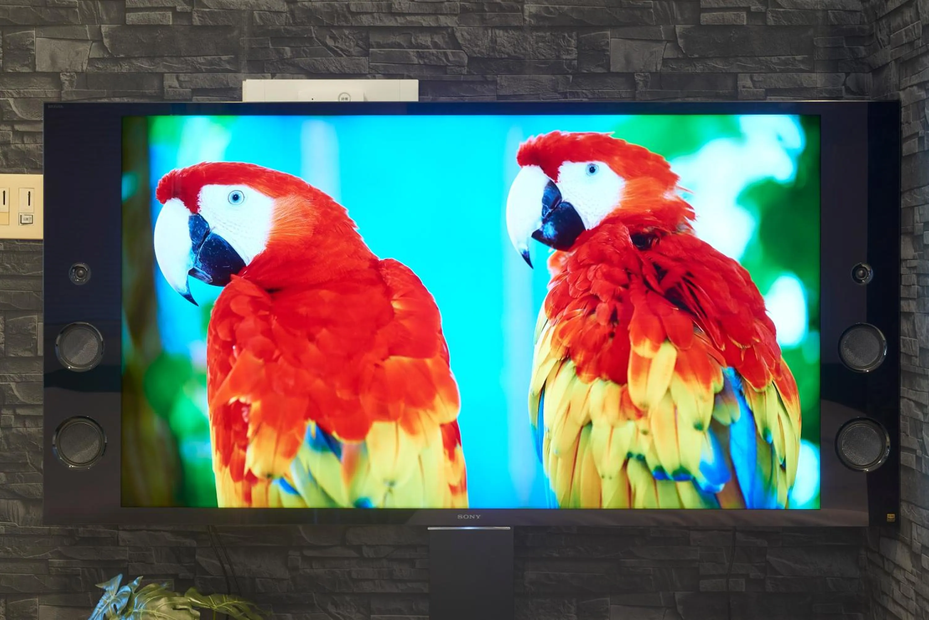 S'CASA NishiShinjuku