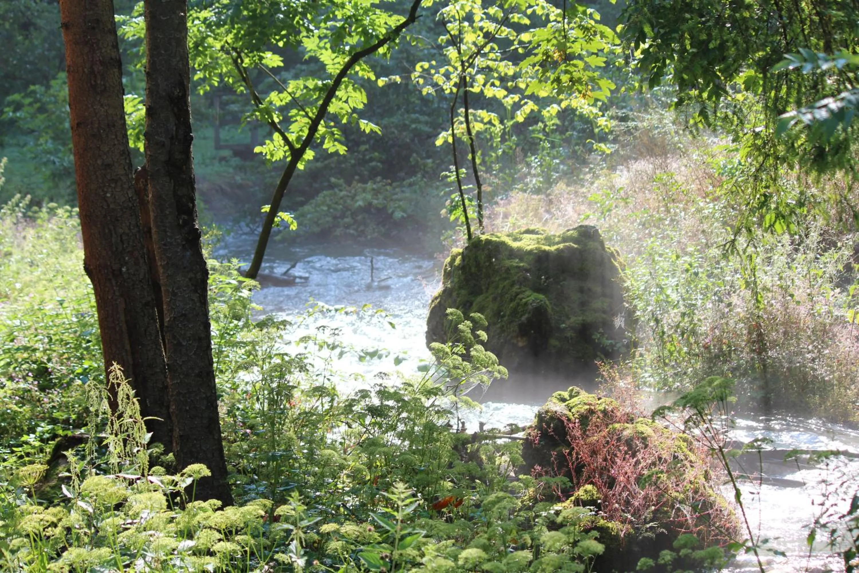 Natural landscape in Forellenhof Rössle Hotel & Restaurant